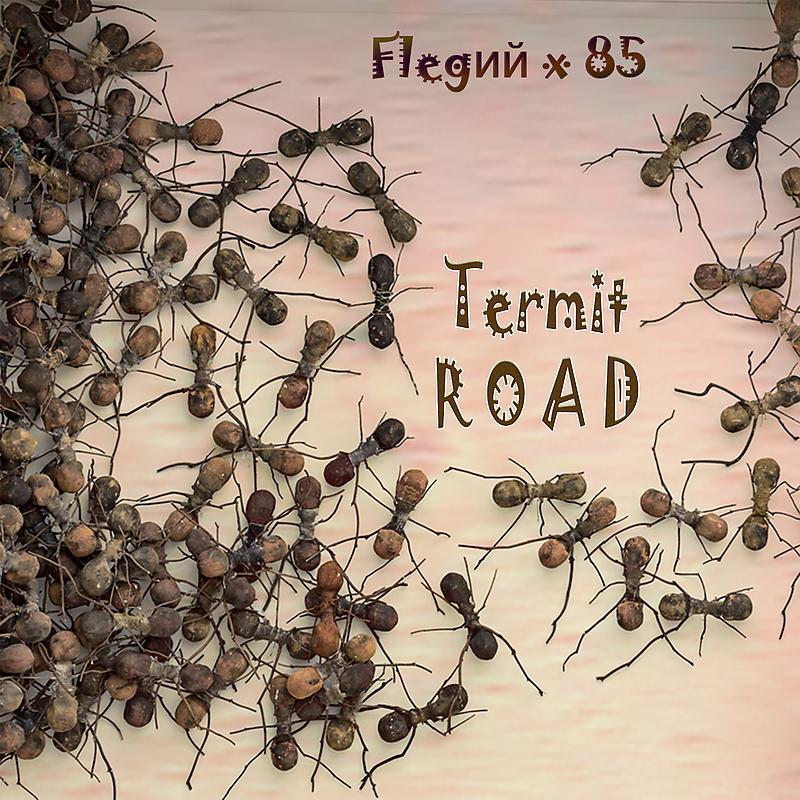 Постер альбома Termit Road