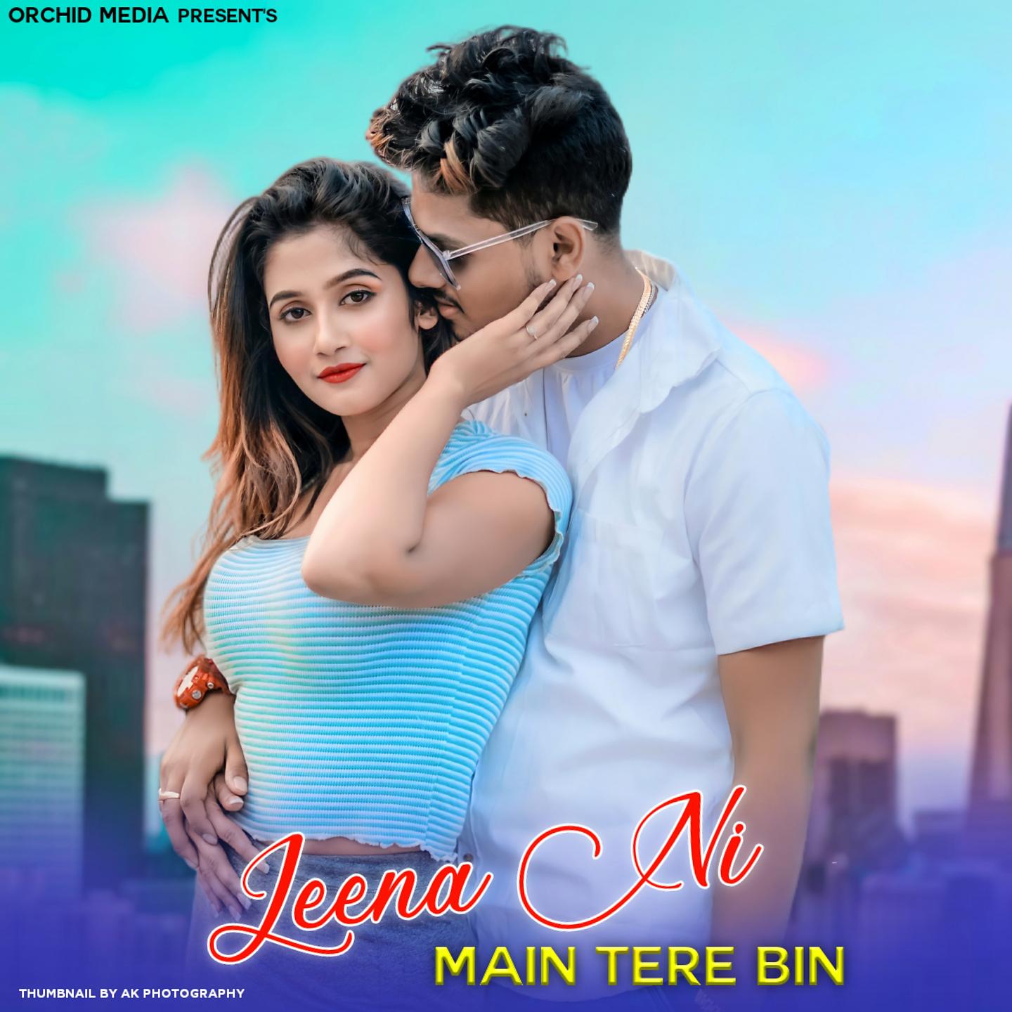 Постер альбома Jeena Ni Main Tere Bin