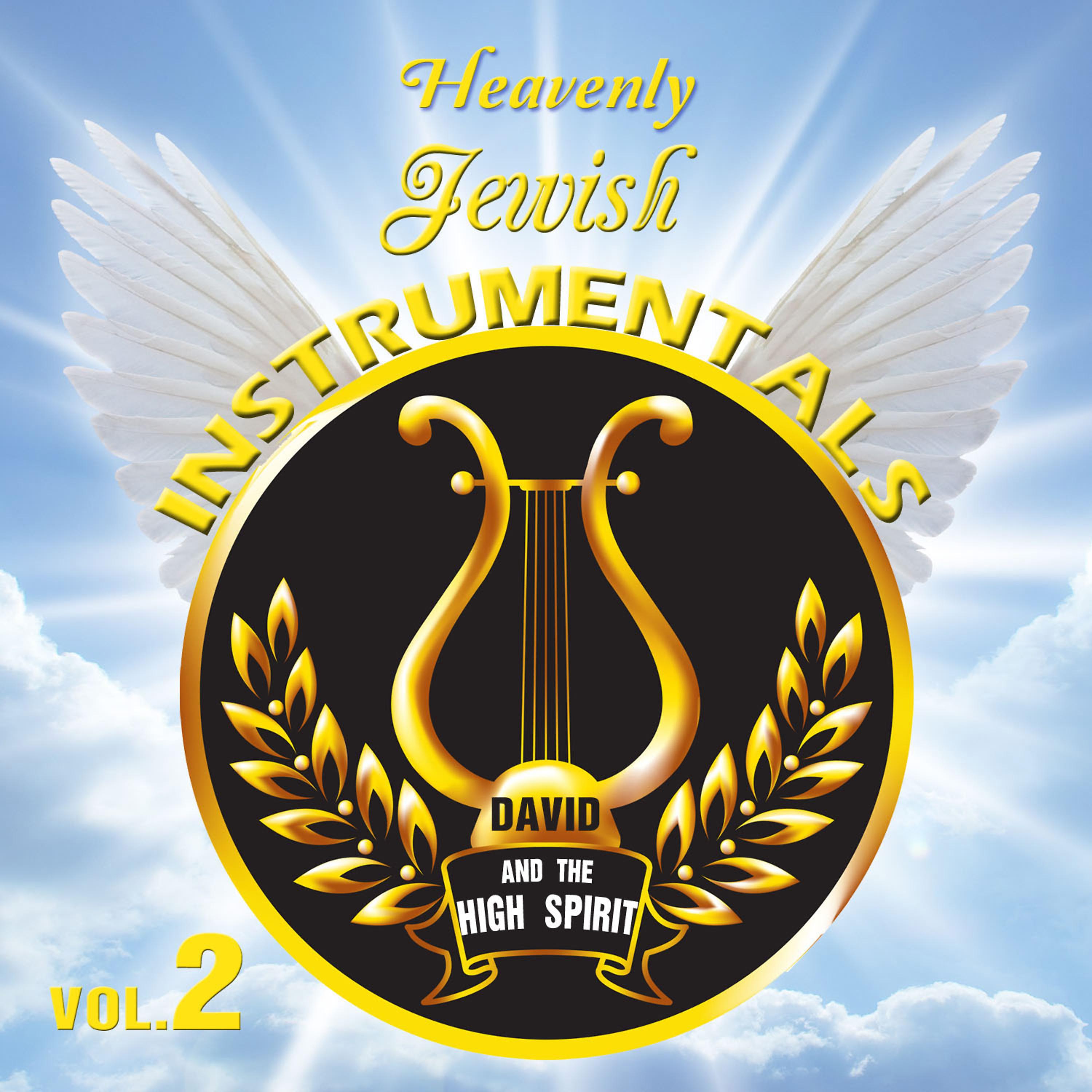 Постер альбома Heavenly Jewish Instrumentals, Vol. 2