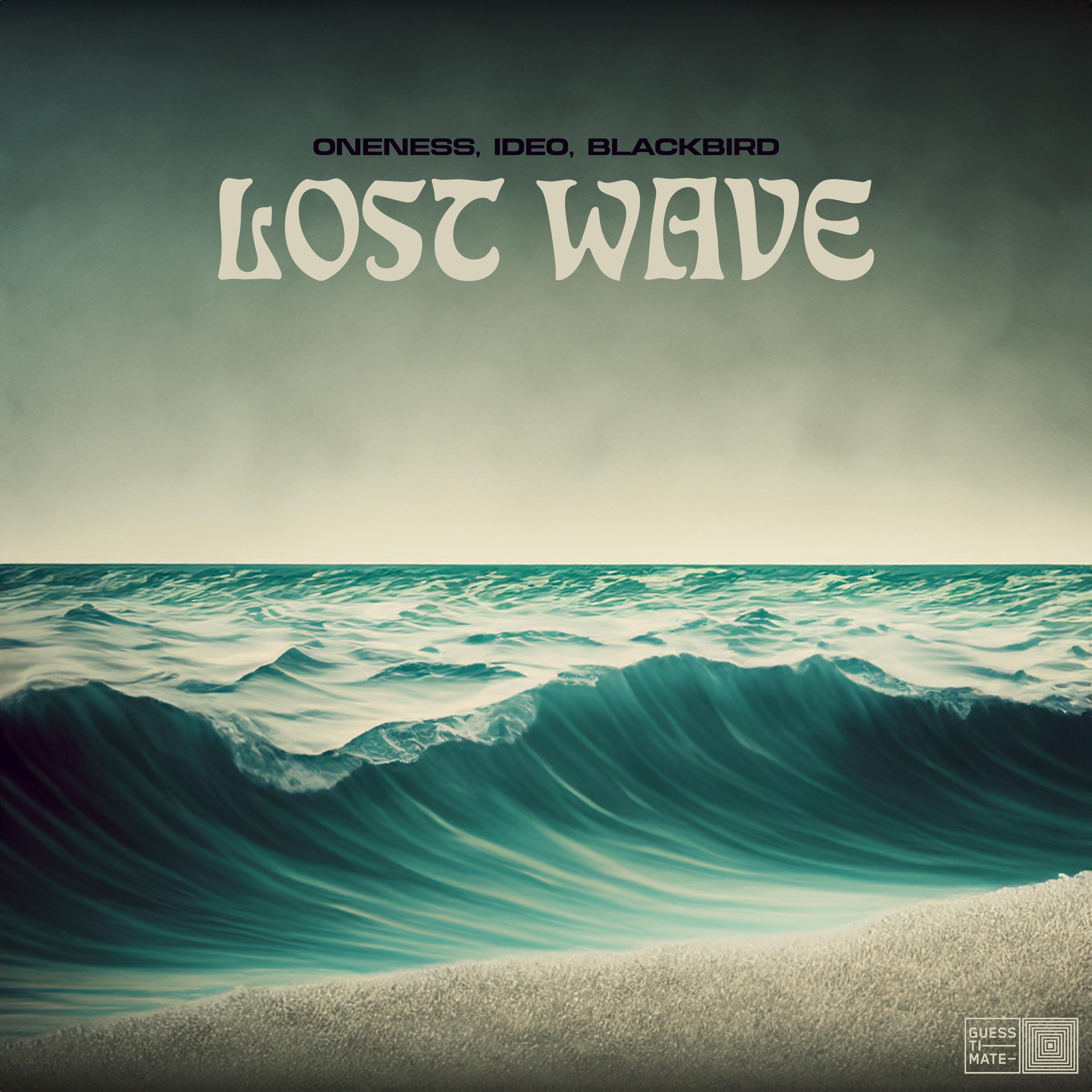 Постер альбома Lost Wave