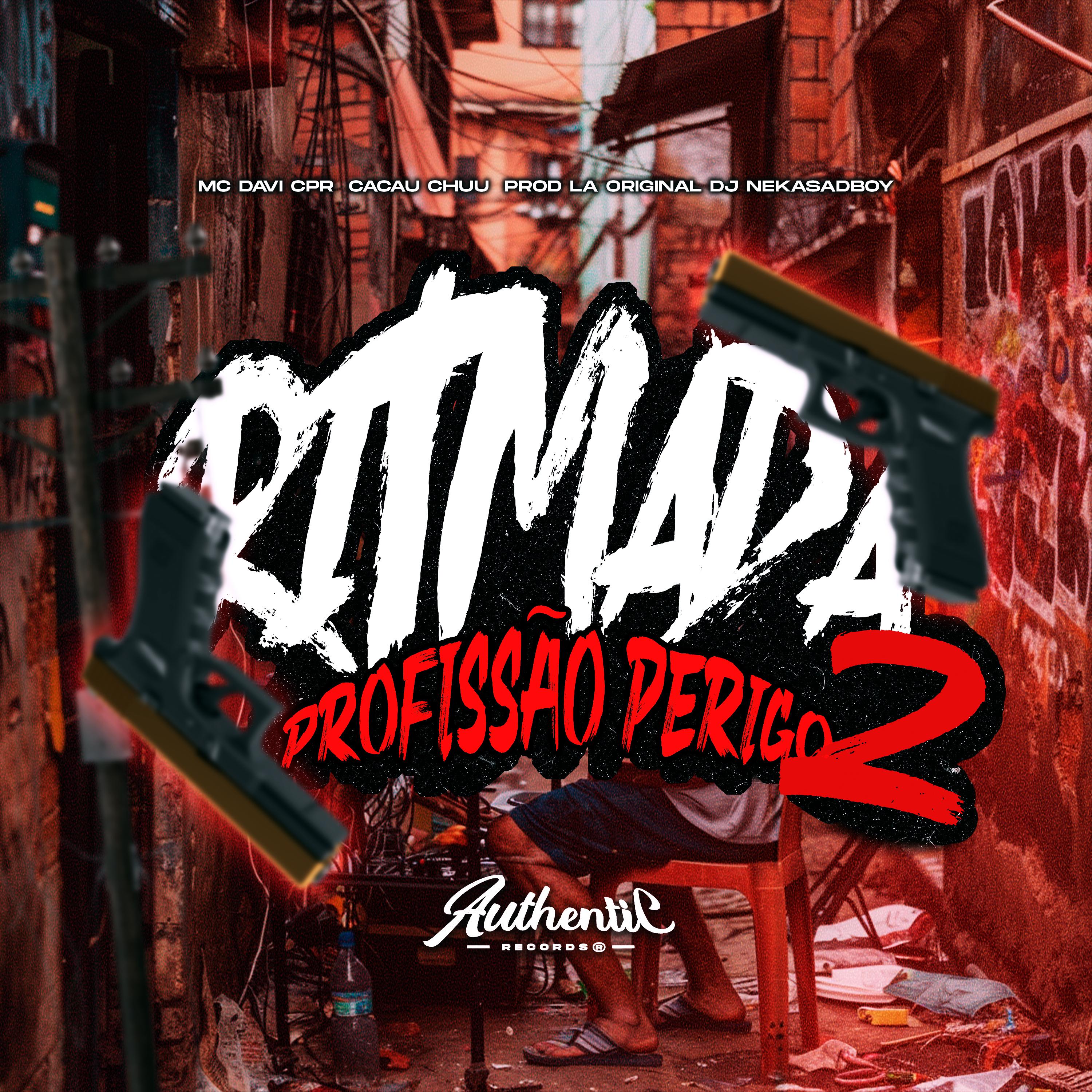 Постер альбома Ritimada Profissão Perigo 2