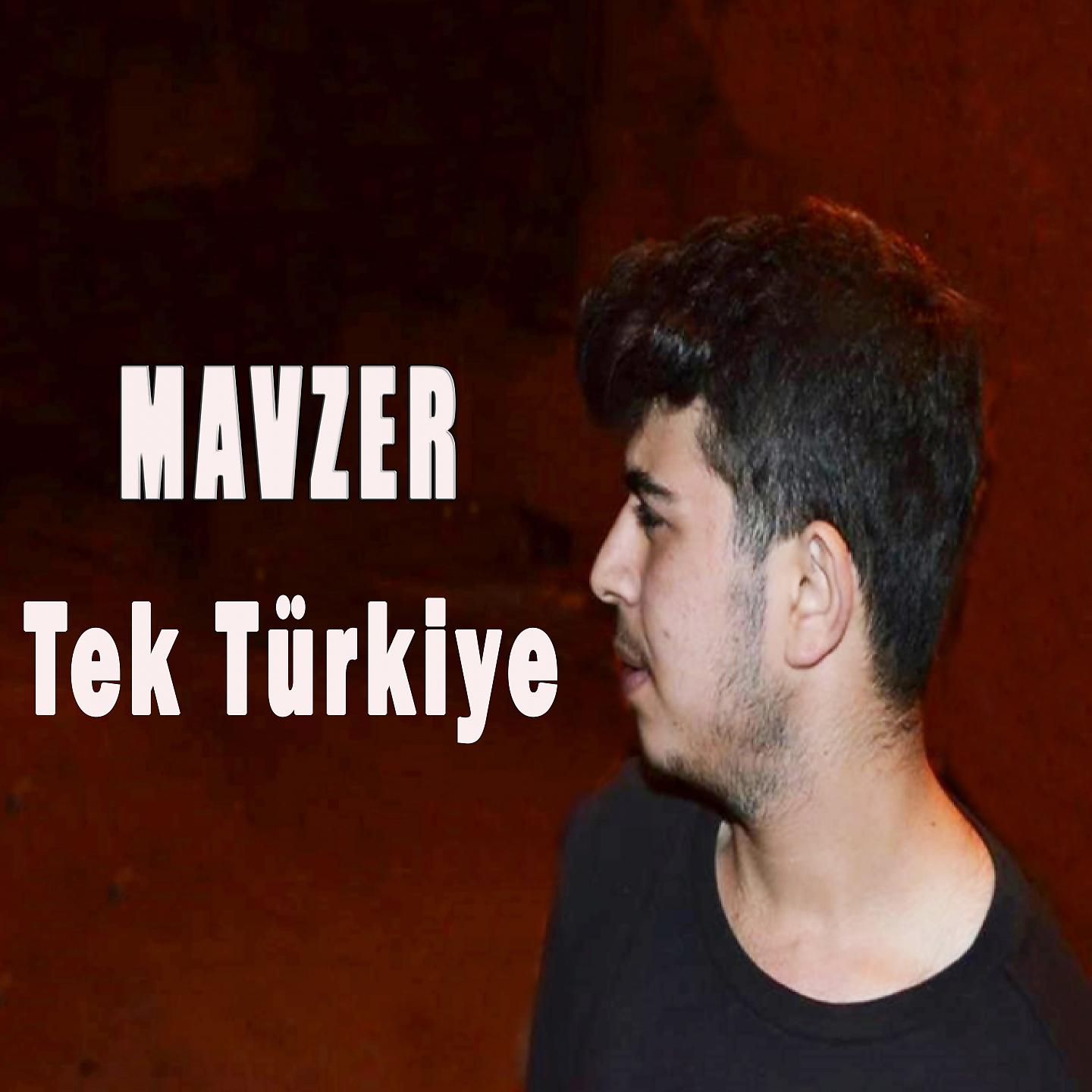 Постер альбома Tek Türkiye