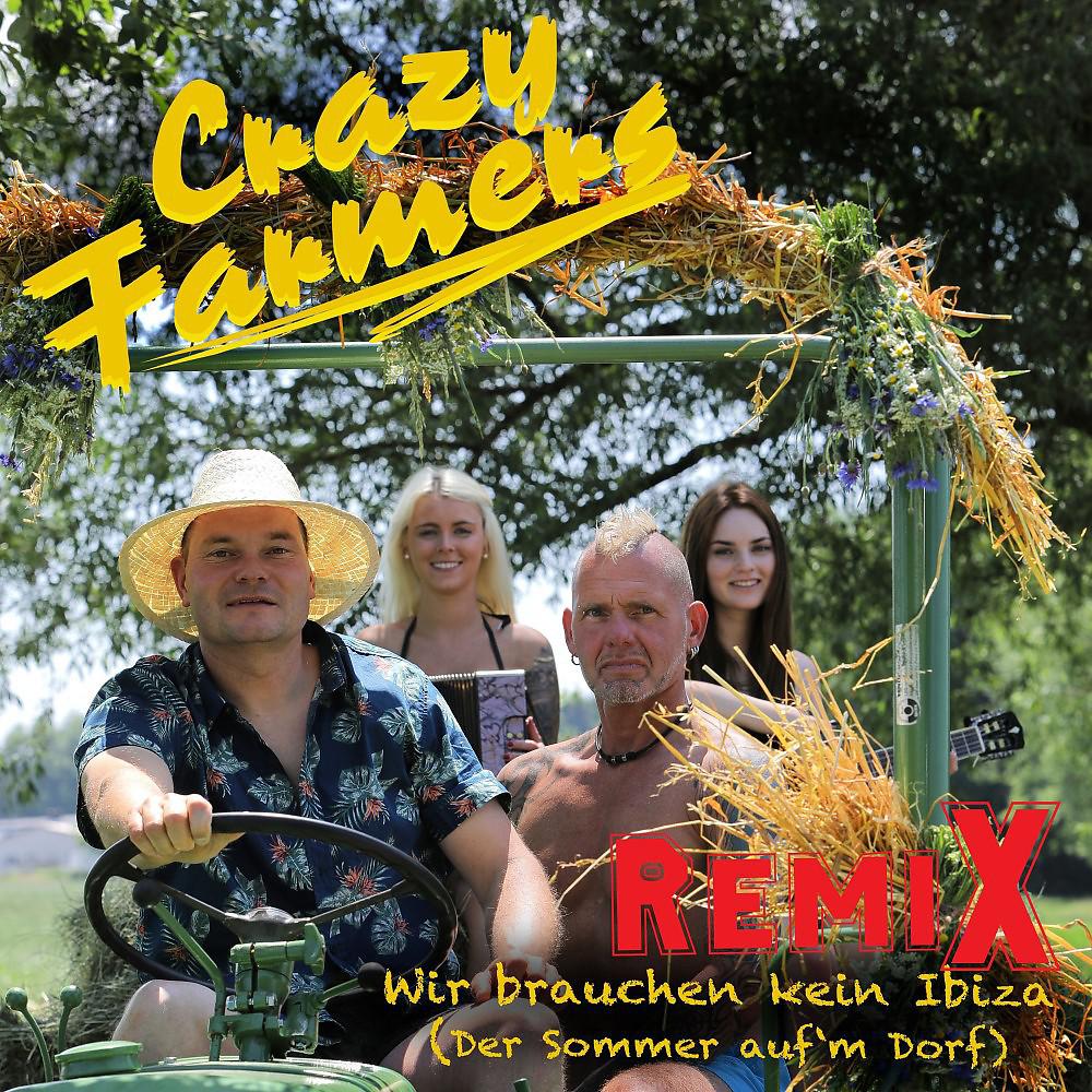 Постер альбома Wir brauchen kein Ibiza (Sommer auf'm Dorf) [Remix]