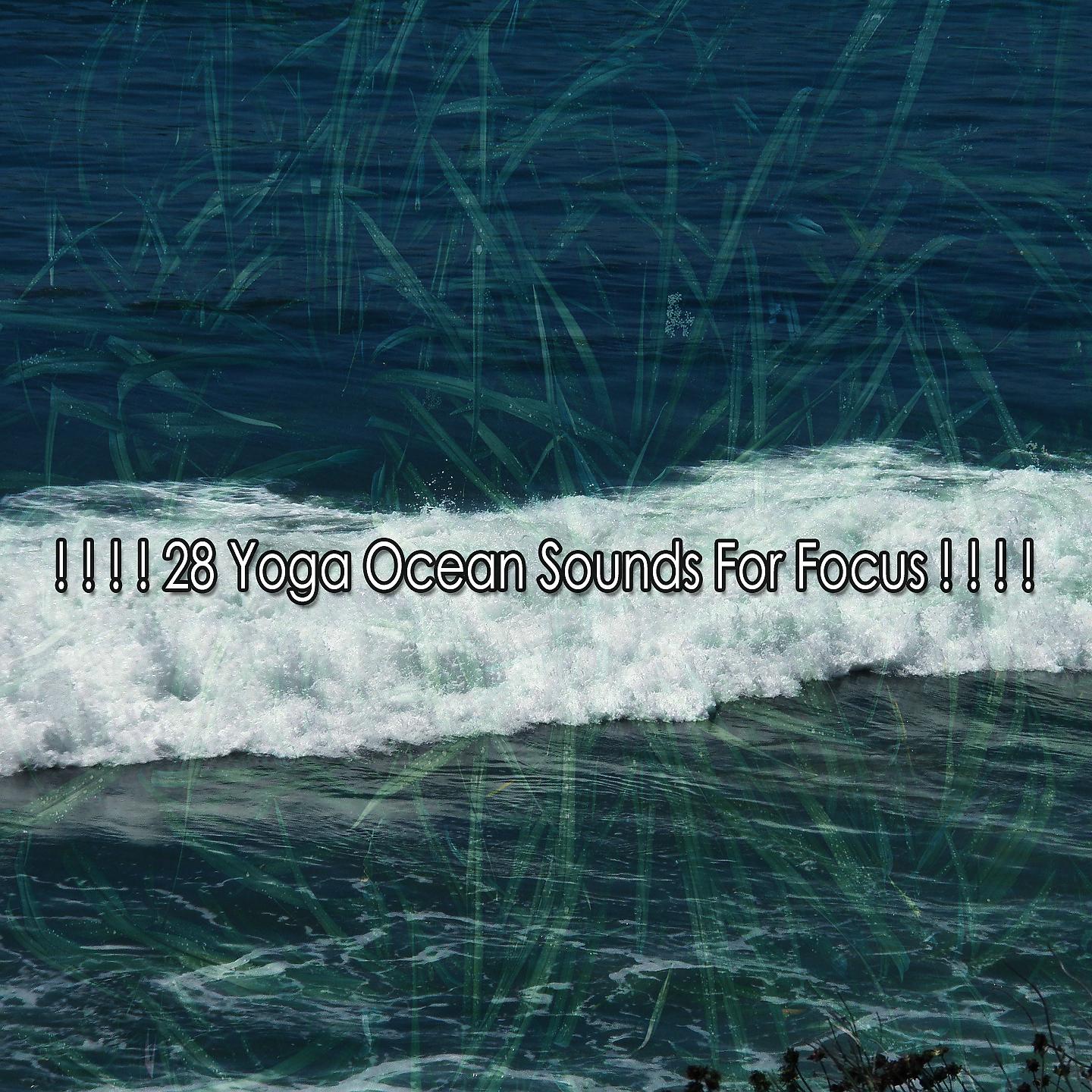Постер альбома ! ! ! ! 28 звуков океана йоги для концентрации! ! ! !
