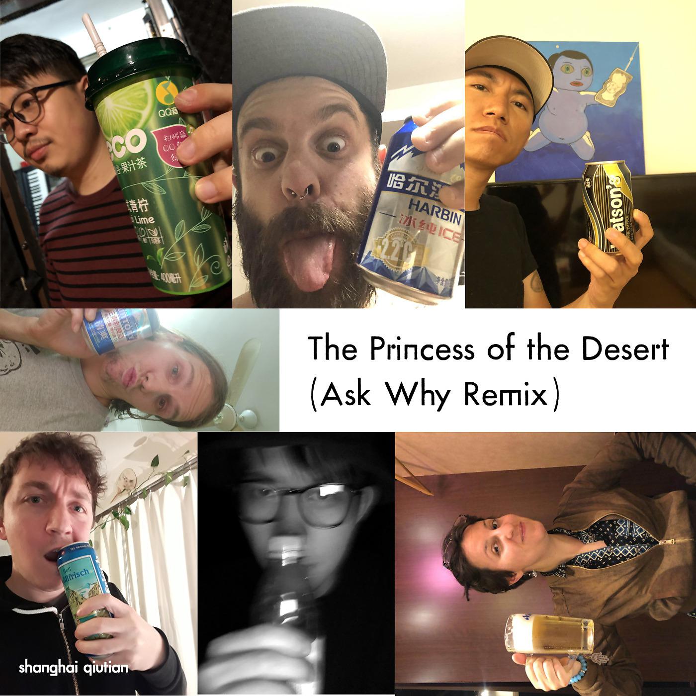 Постер альбома The Princess of the Desert (Ask Why Remix)