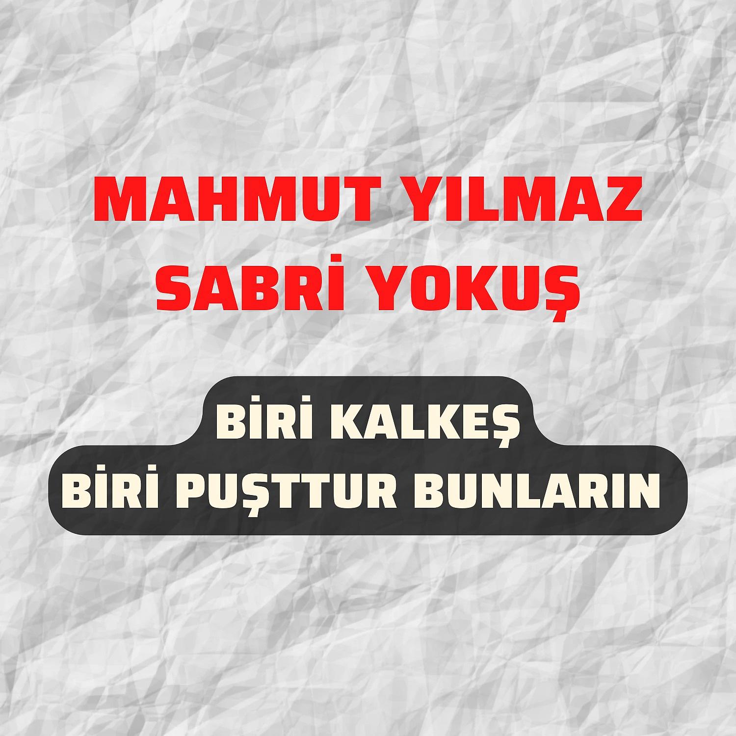 Постер альбома Biri Kalleş Biri Puşttur Bunların