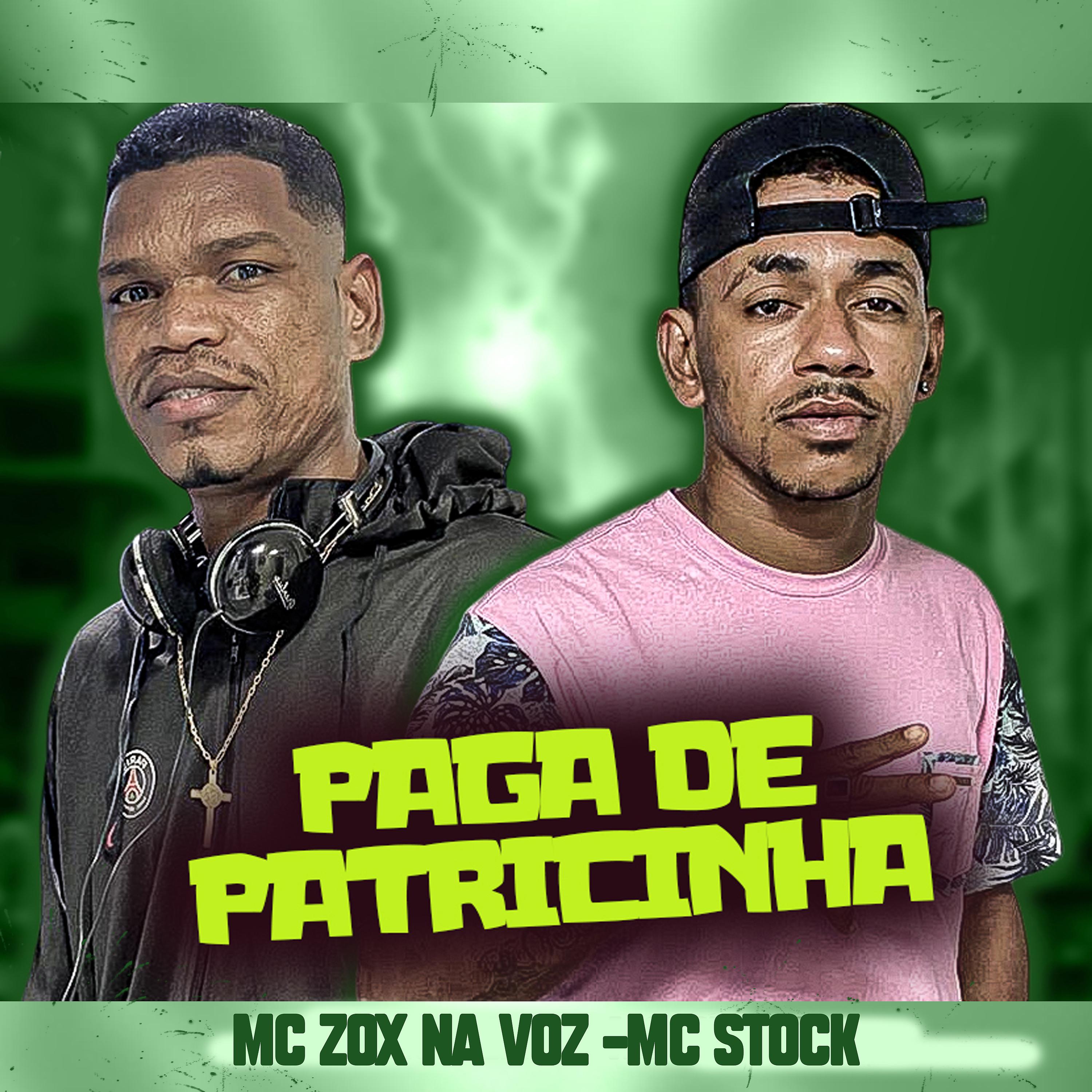 Постер альбома Paga de Patricinha
