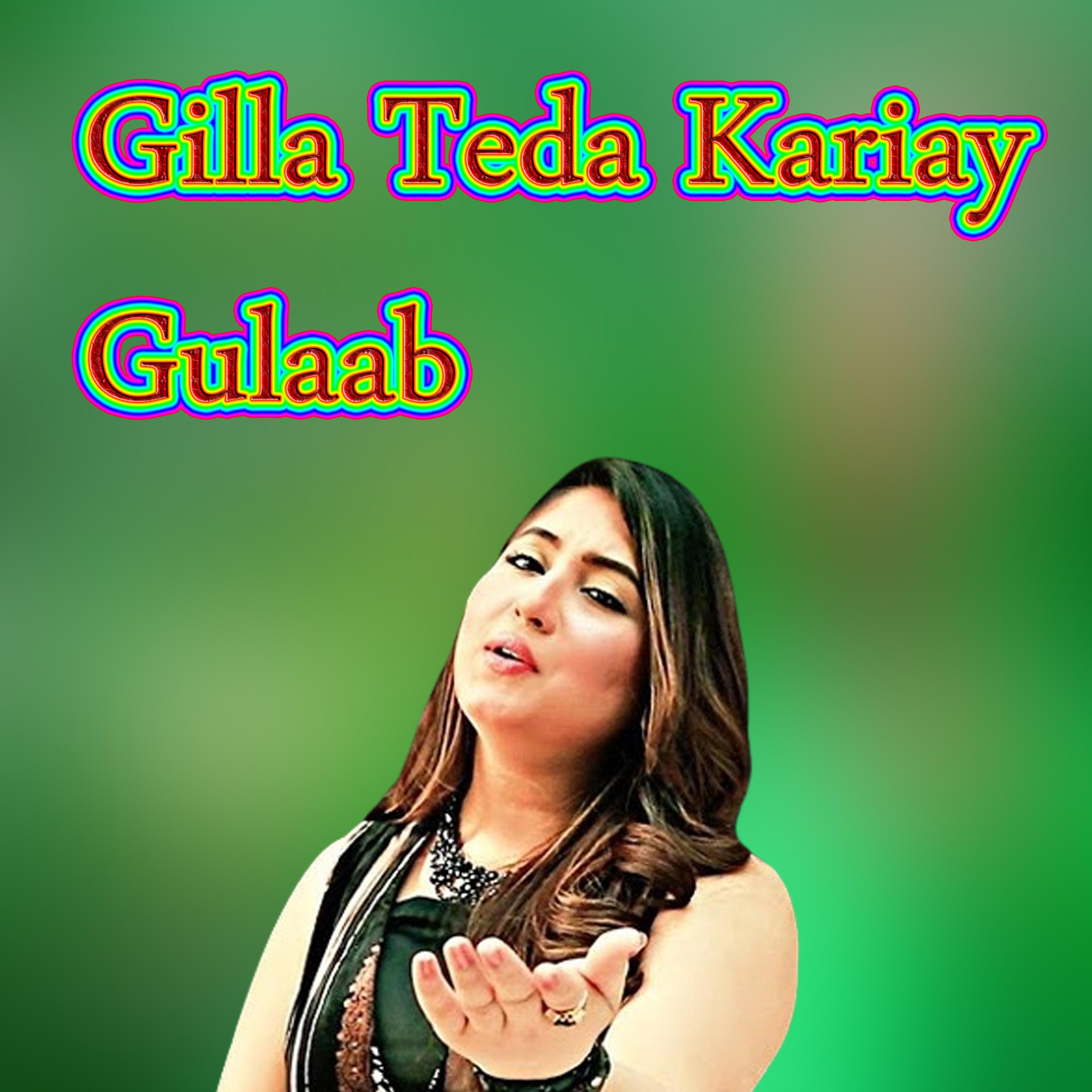 Постер альбома Gilla Teda Kariay Gulaab