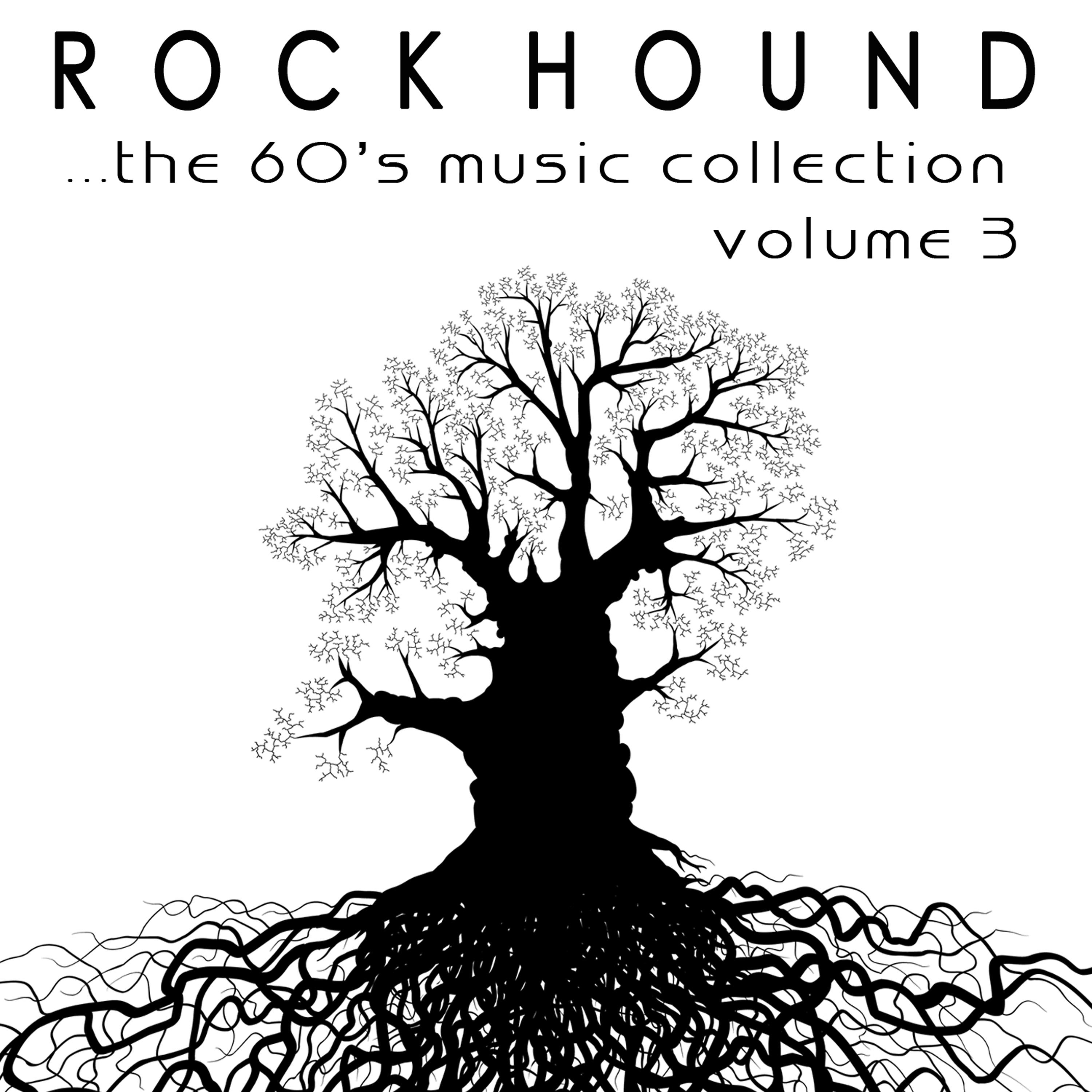 Постер альбома Rock Hound: The 60's Music Collection, Vol. 3