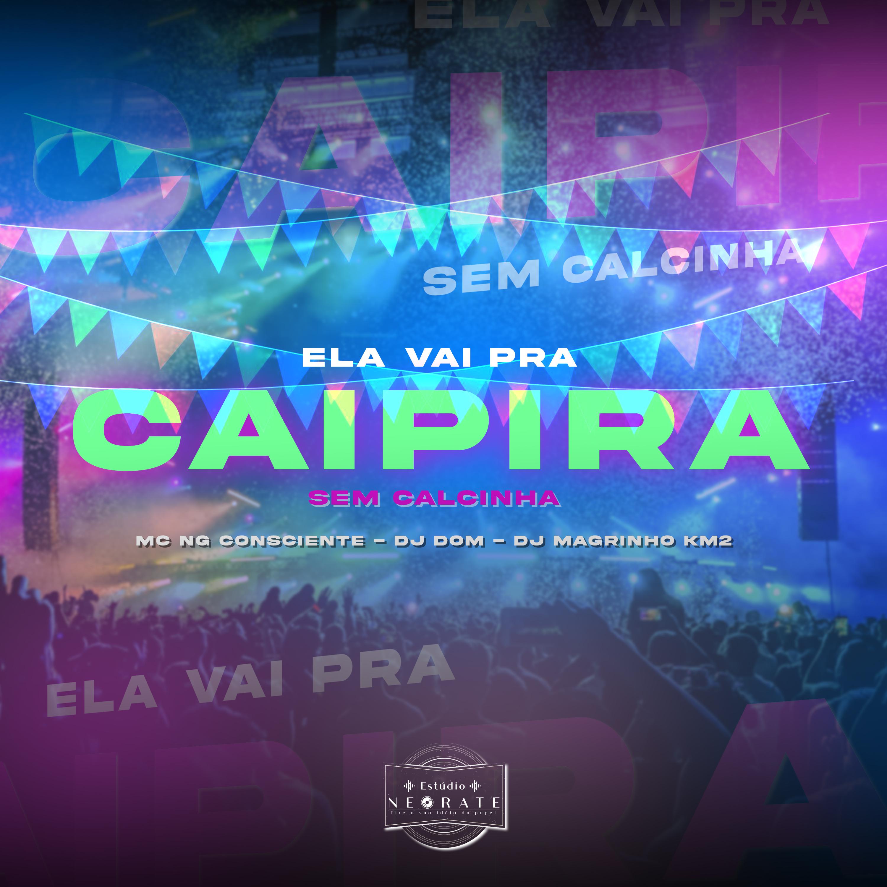 Постер альбома Ela Vai pra Caipira Sem Calcinha