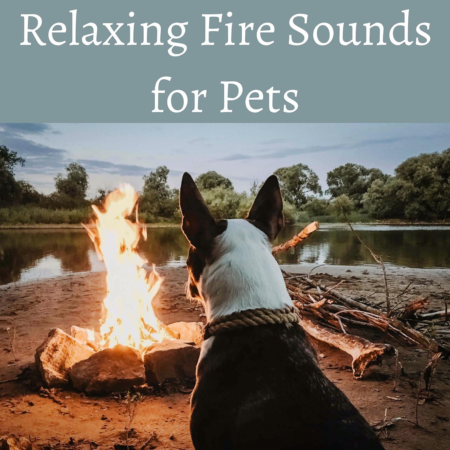 Постер альбома Relaxing By The Fire, Winter Sounds Relaxation for Cats, Logs, Relajacion para Gatos y Perros