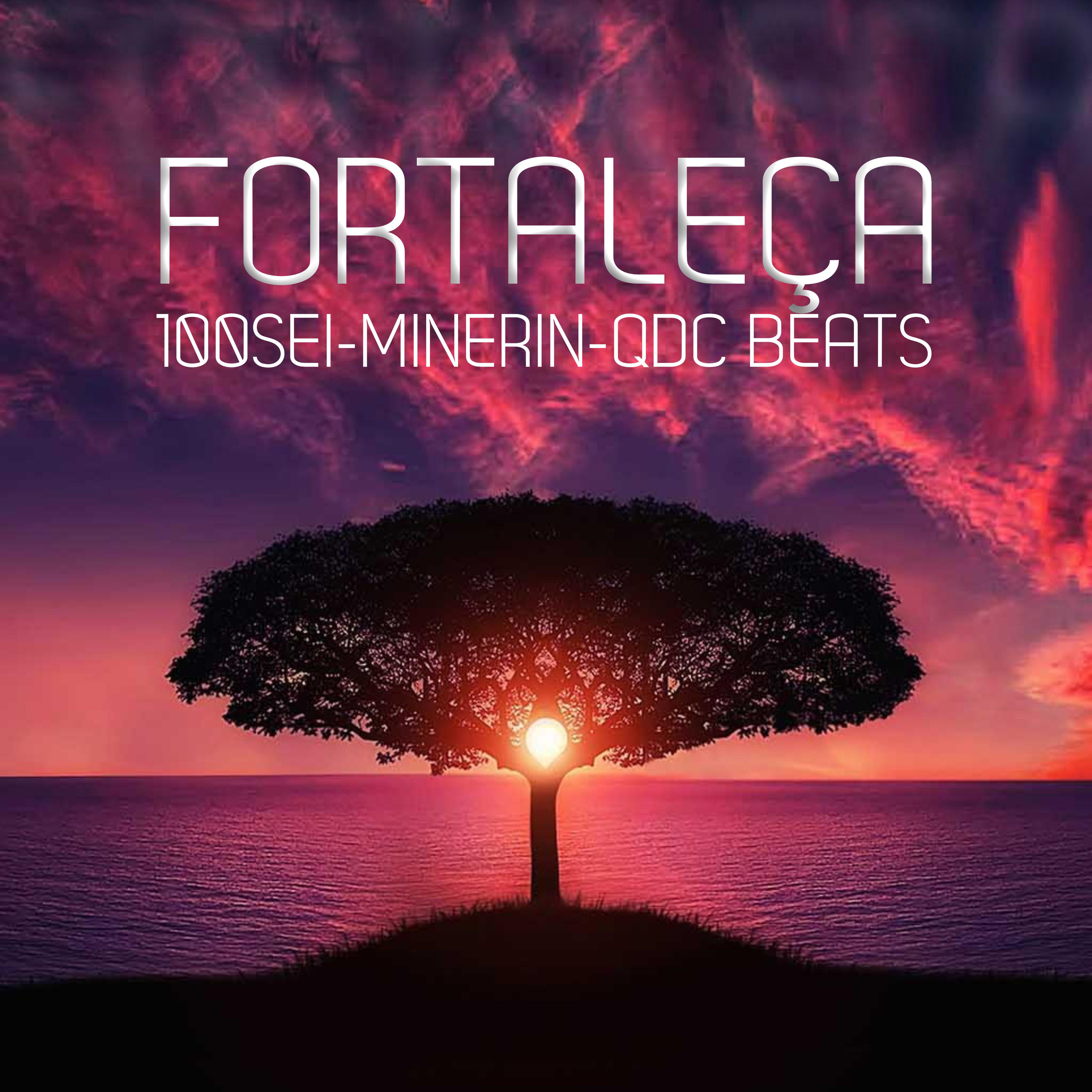Постер альбома Fortaleça