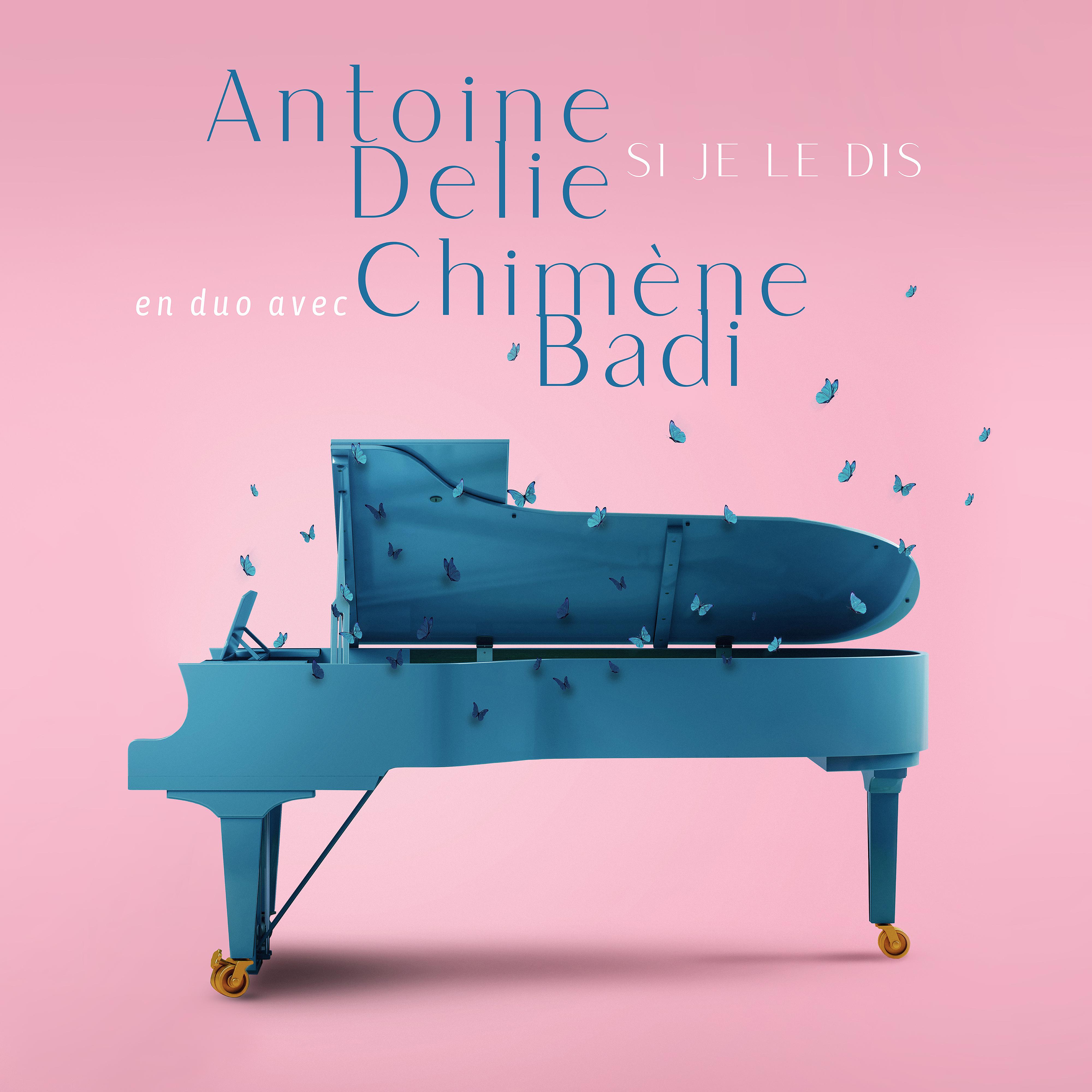 Постер альбома Si je le dis (feat. Chimène Badi)