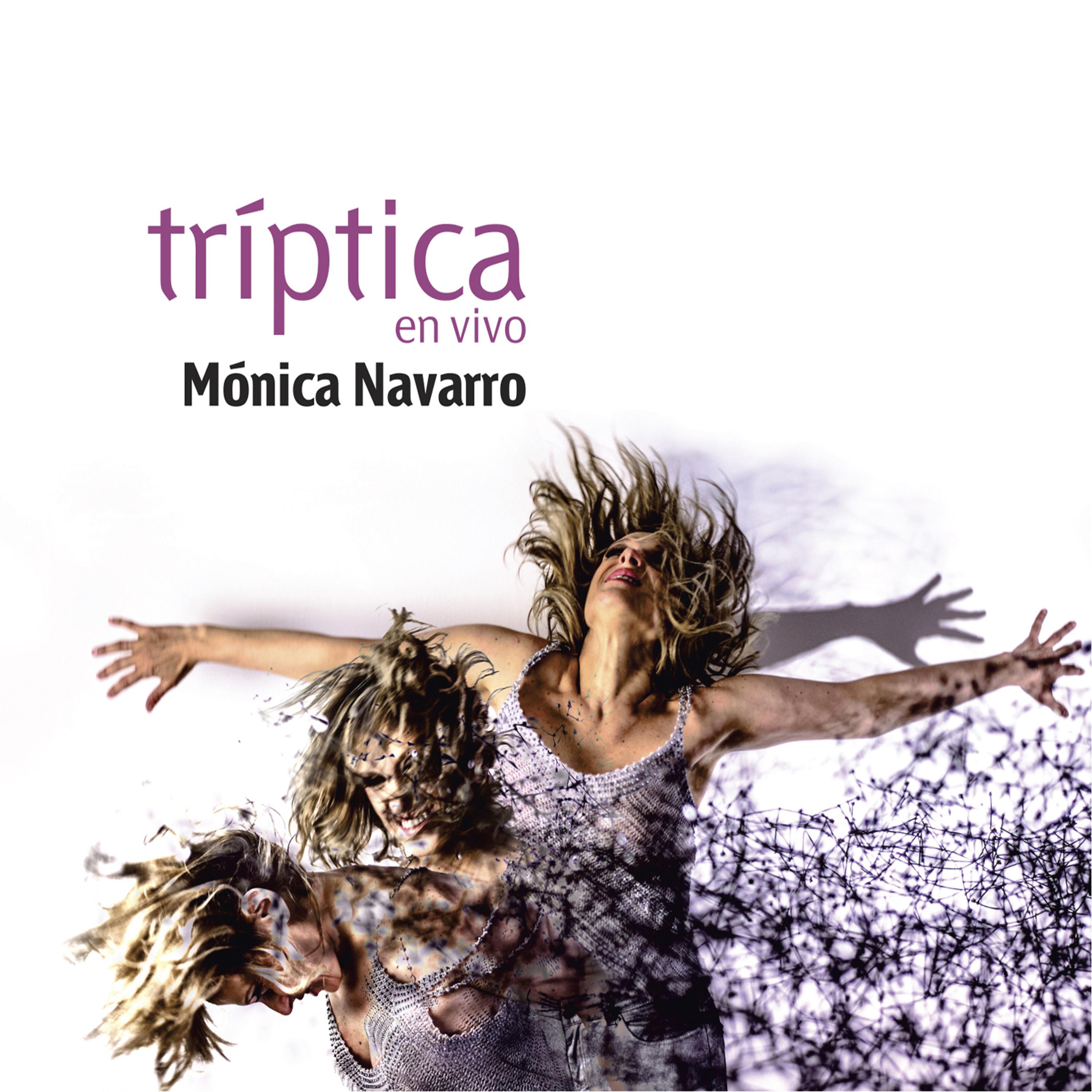 Постер альбома Triptica