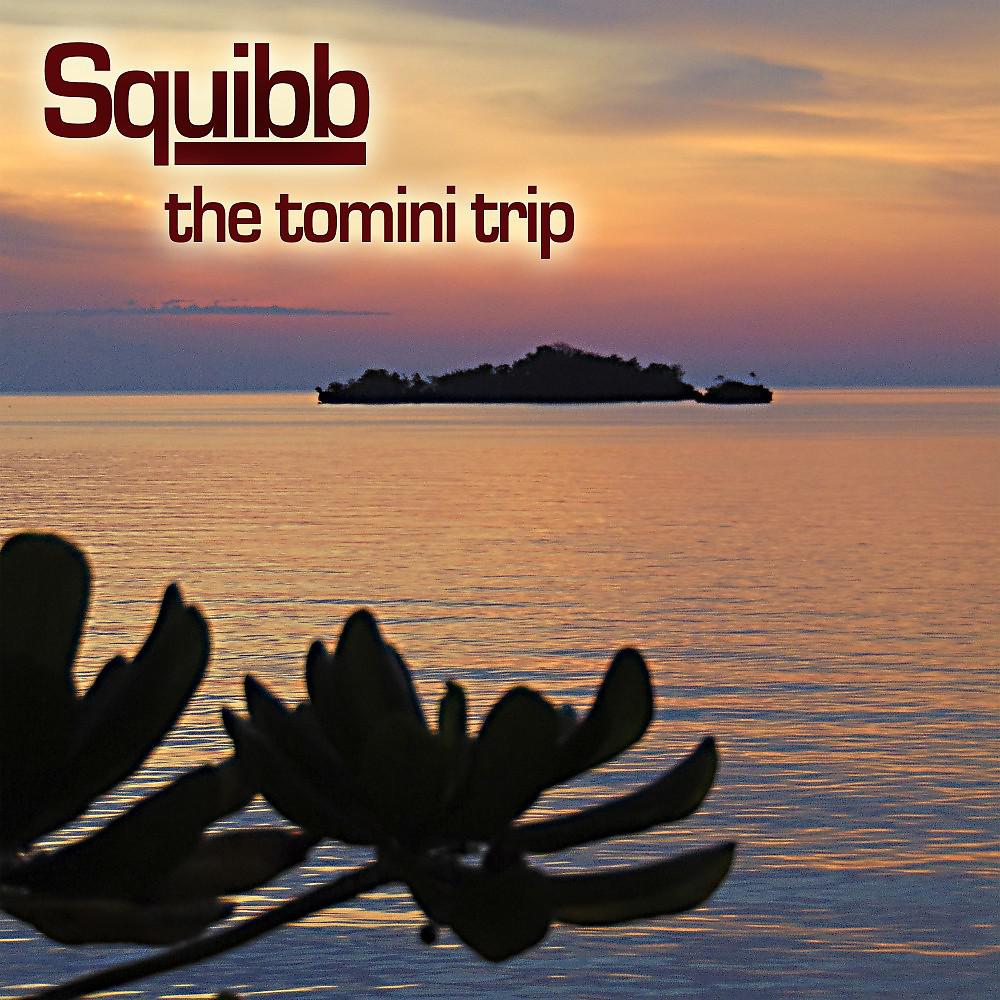 Постер альбома The Tomini Trip