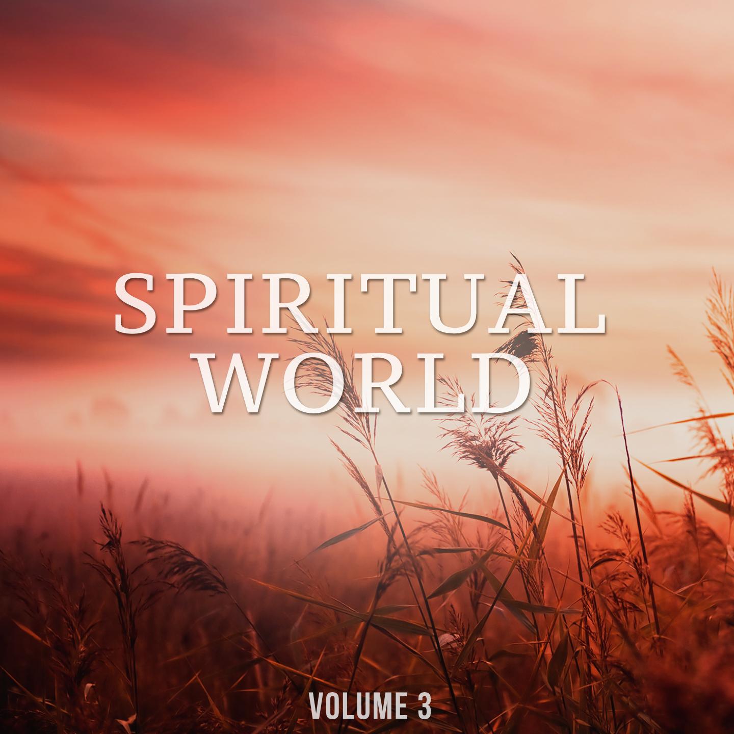 Постер альбома Spiritual World, Vol. 3