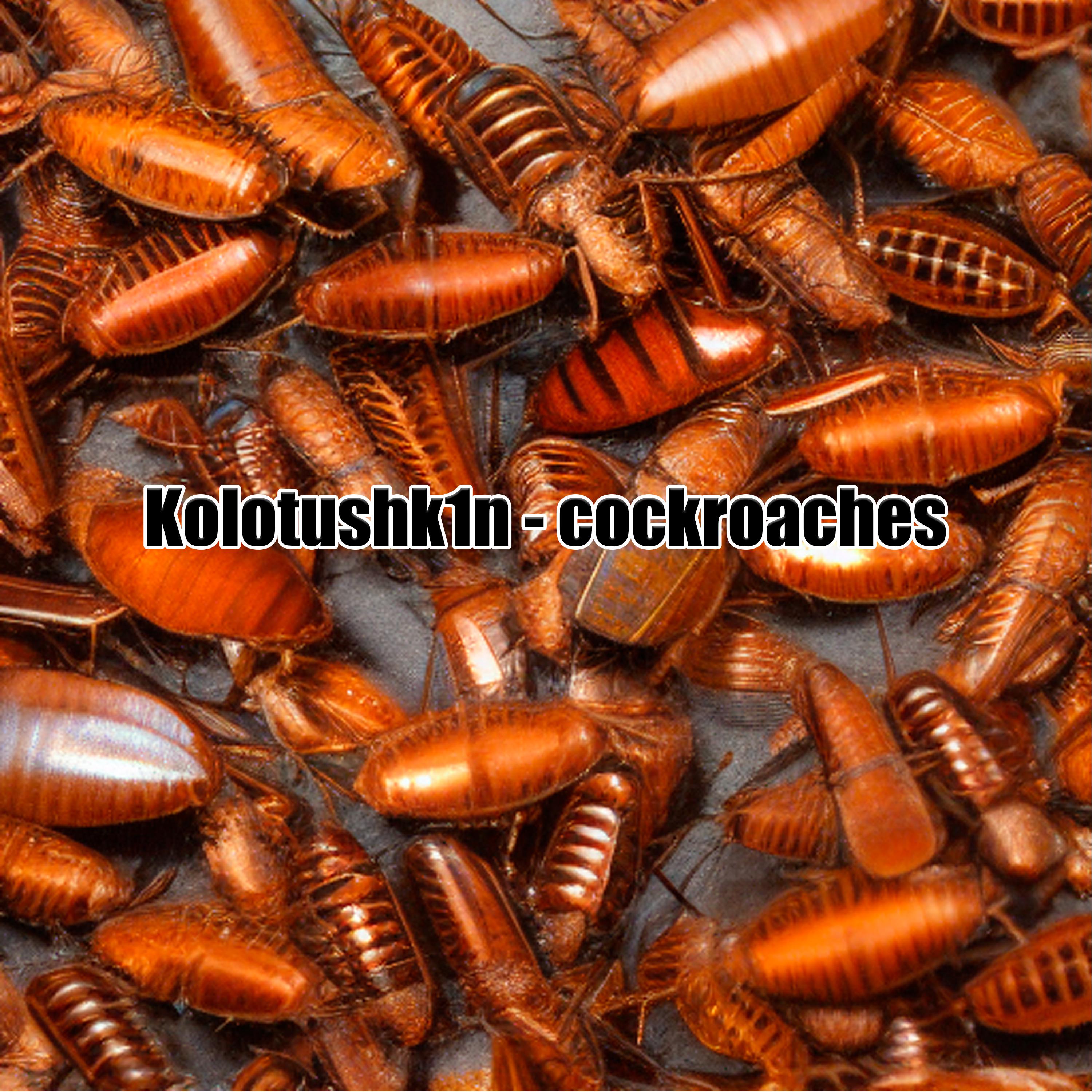 Постер альбома Cockroaches