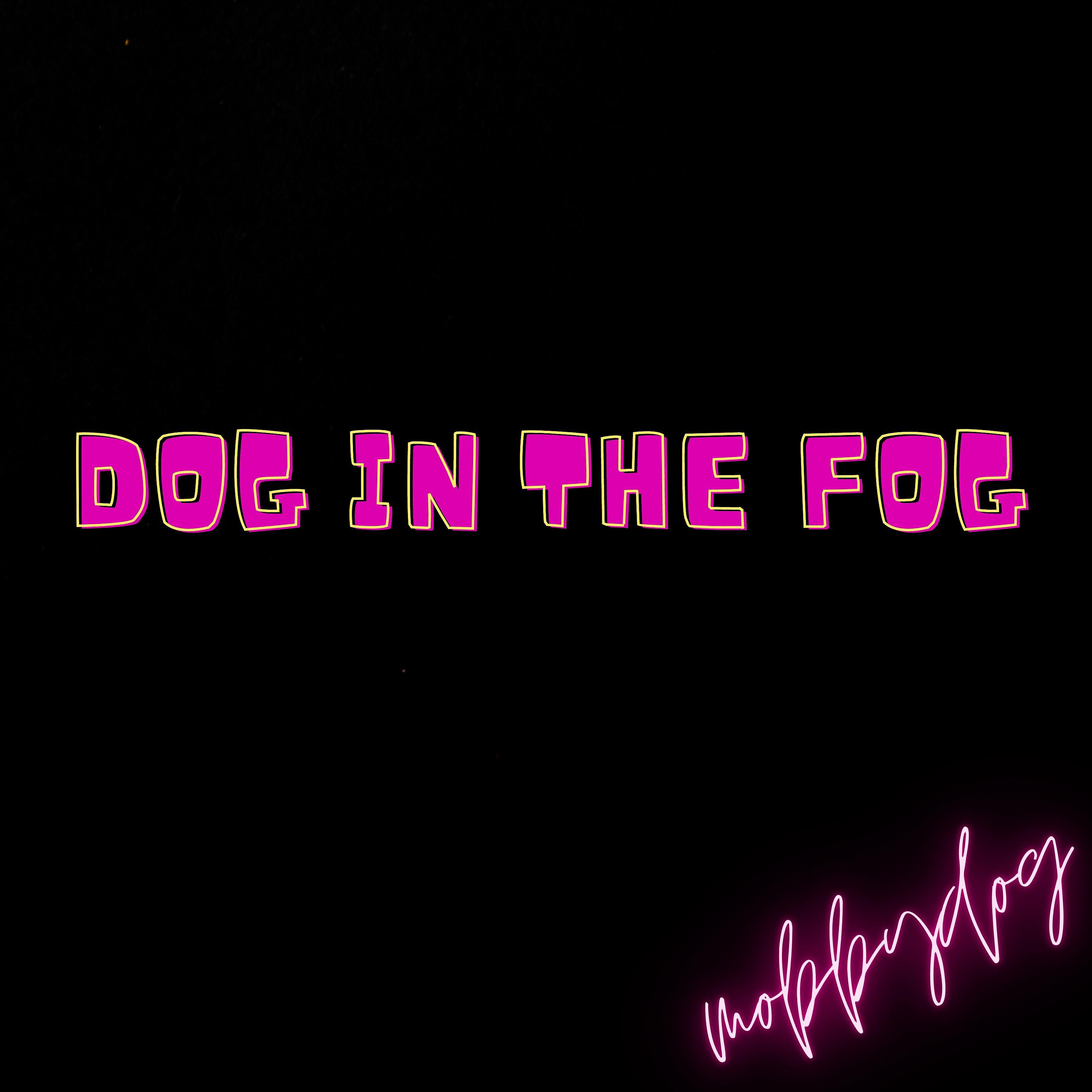 Постер альбома Dog in the fog