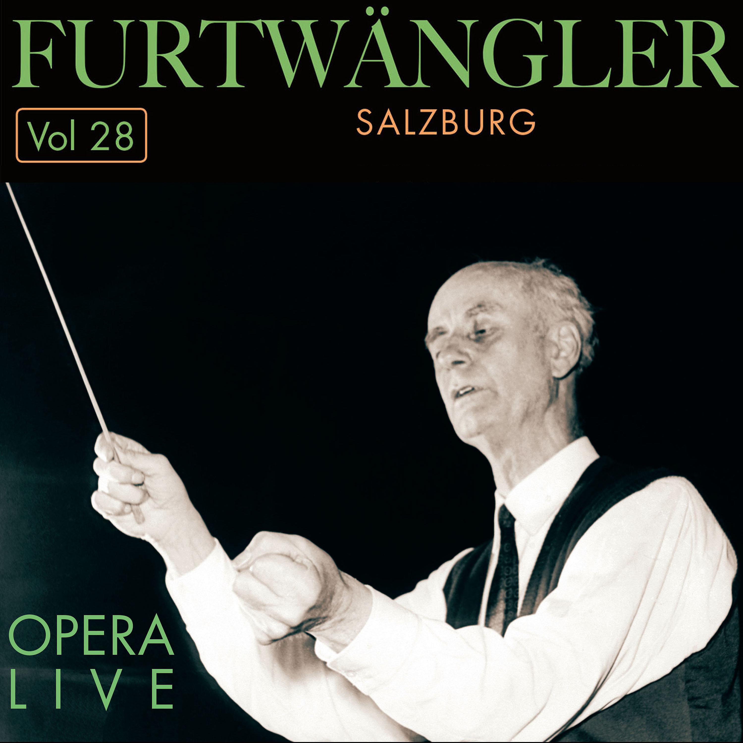 Постер альбома Furtwängler - Opera  Live, Vol.28