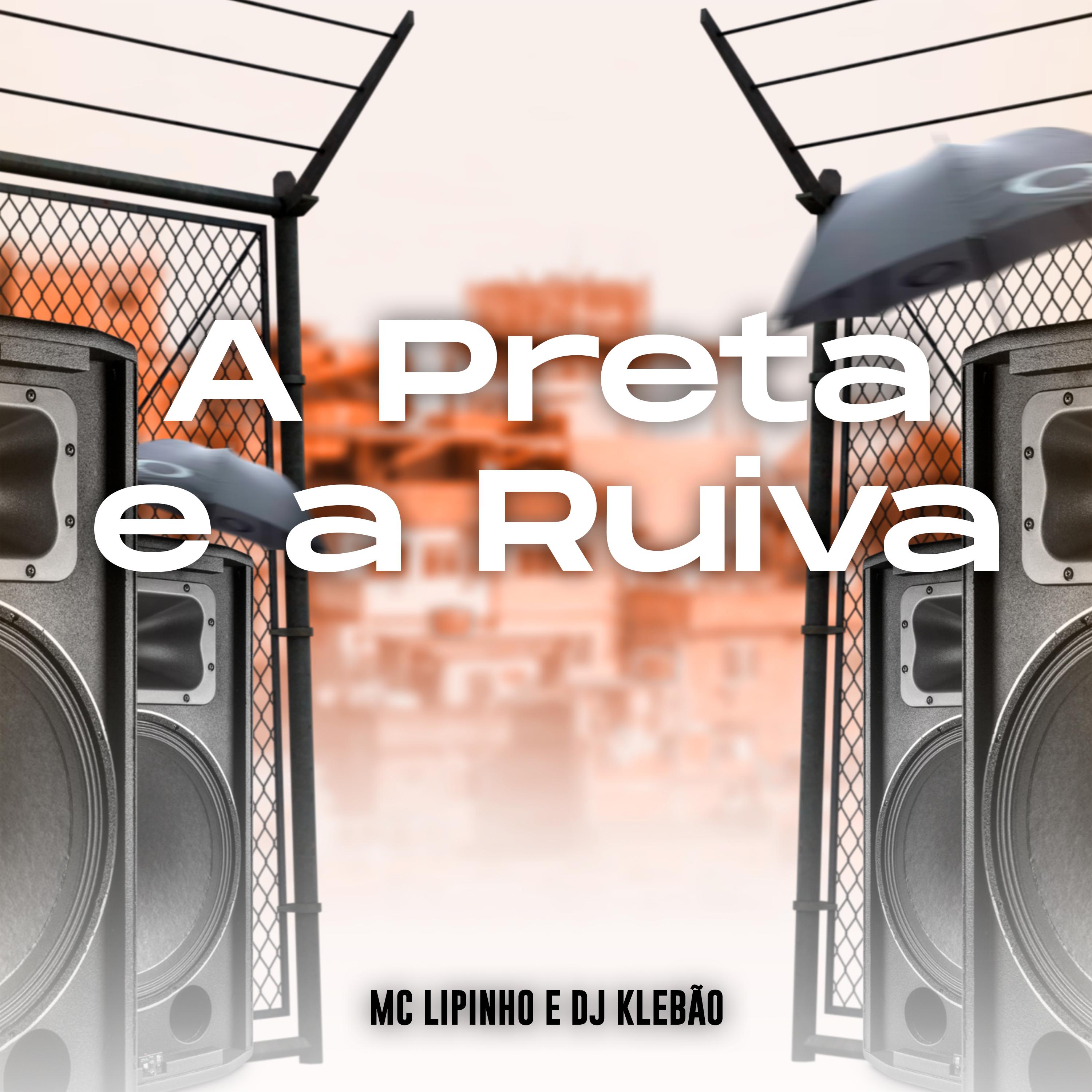 Постер альбома A Preta e a Ruiva