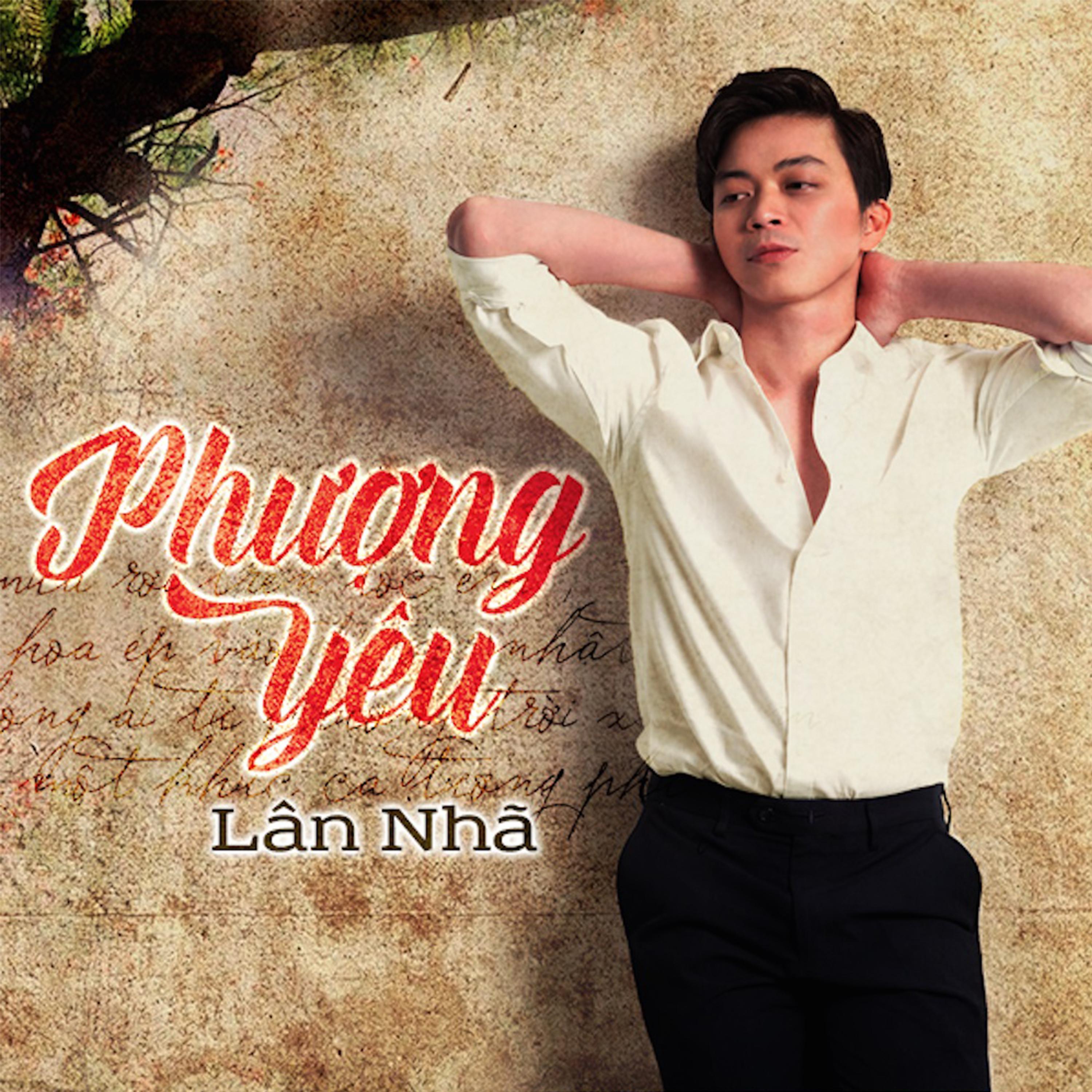Постер альбома Phượng Yêu