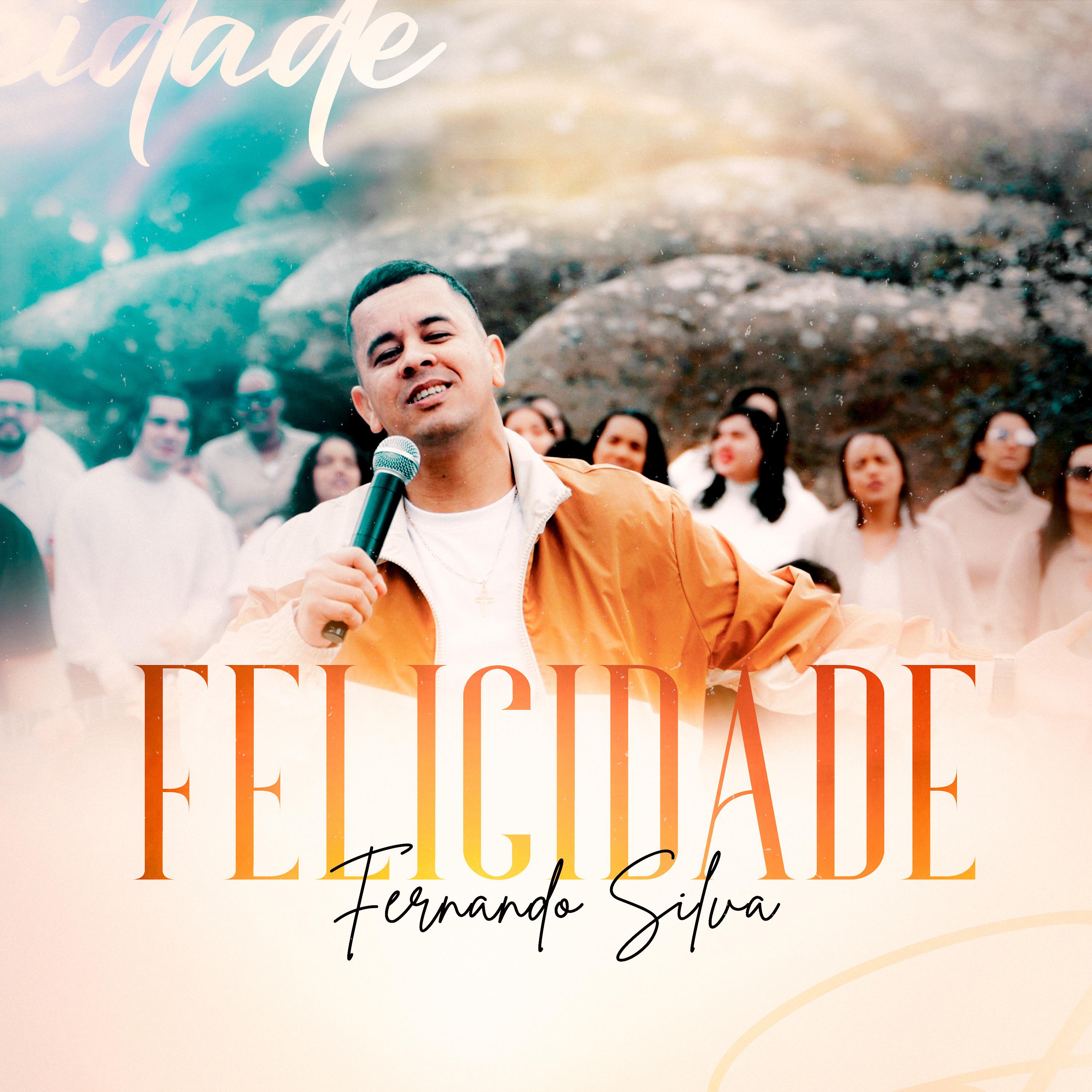 Постер альбома Felicidade