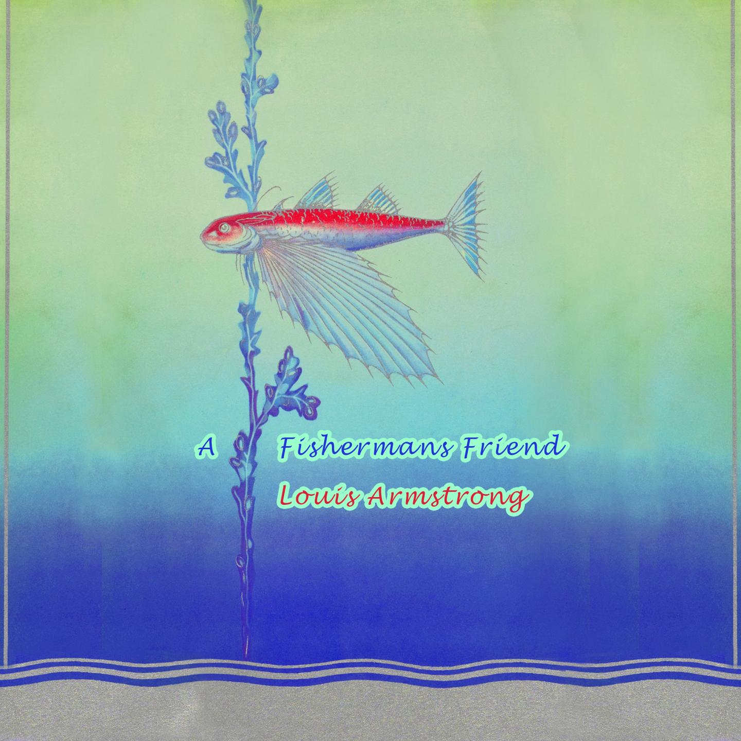Постер альбома A Fishermans Friend