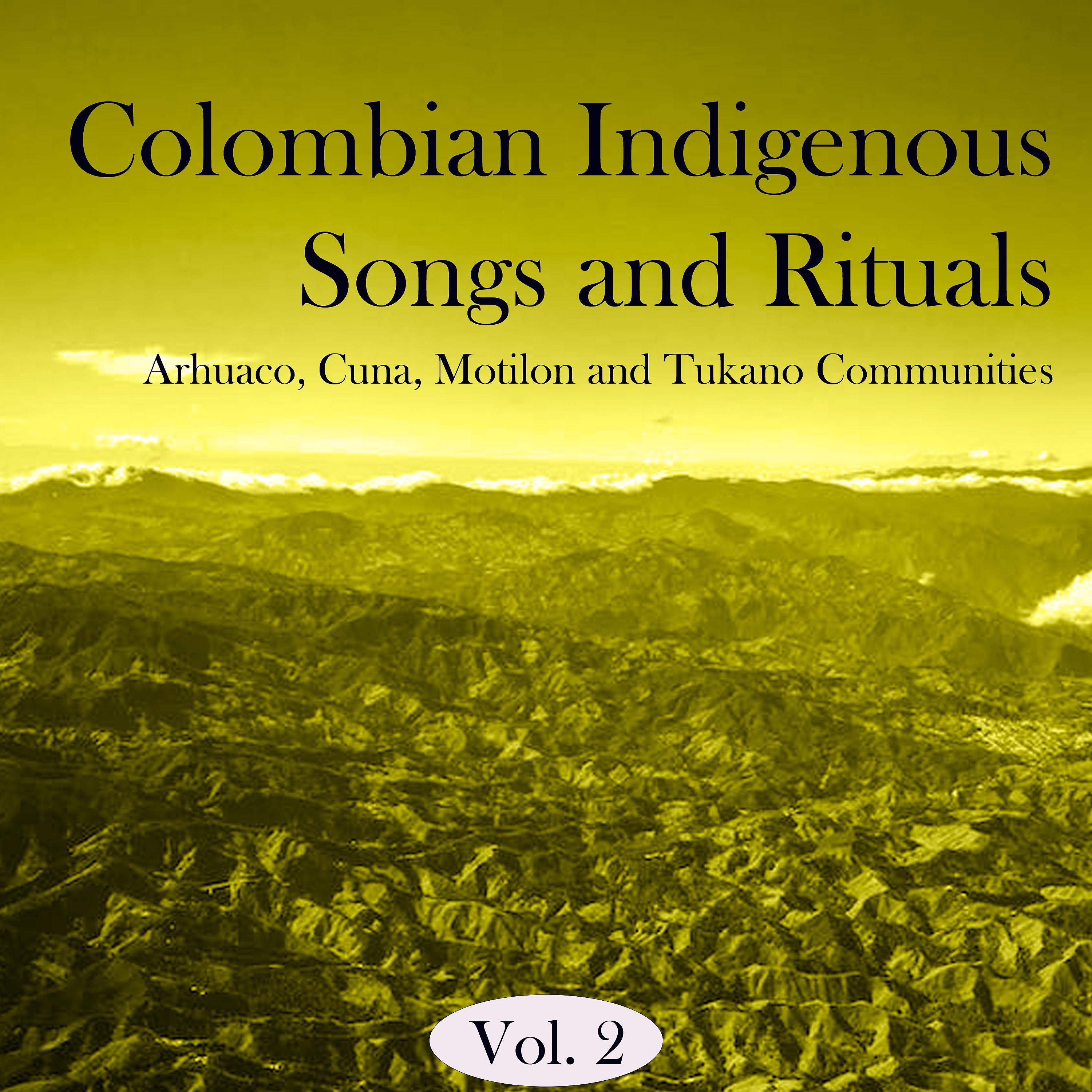Постер альбома Colombian Indigenous Songs and Rituals, Vol. 2