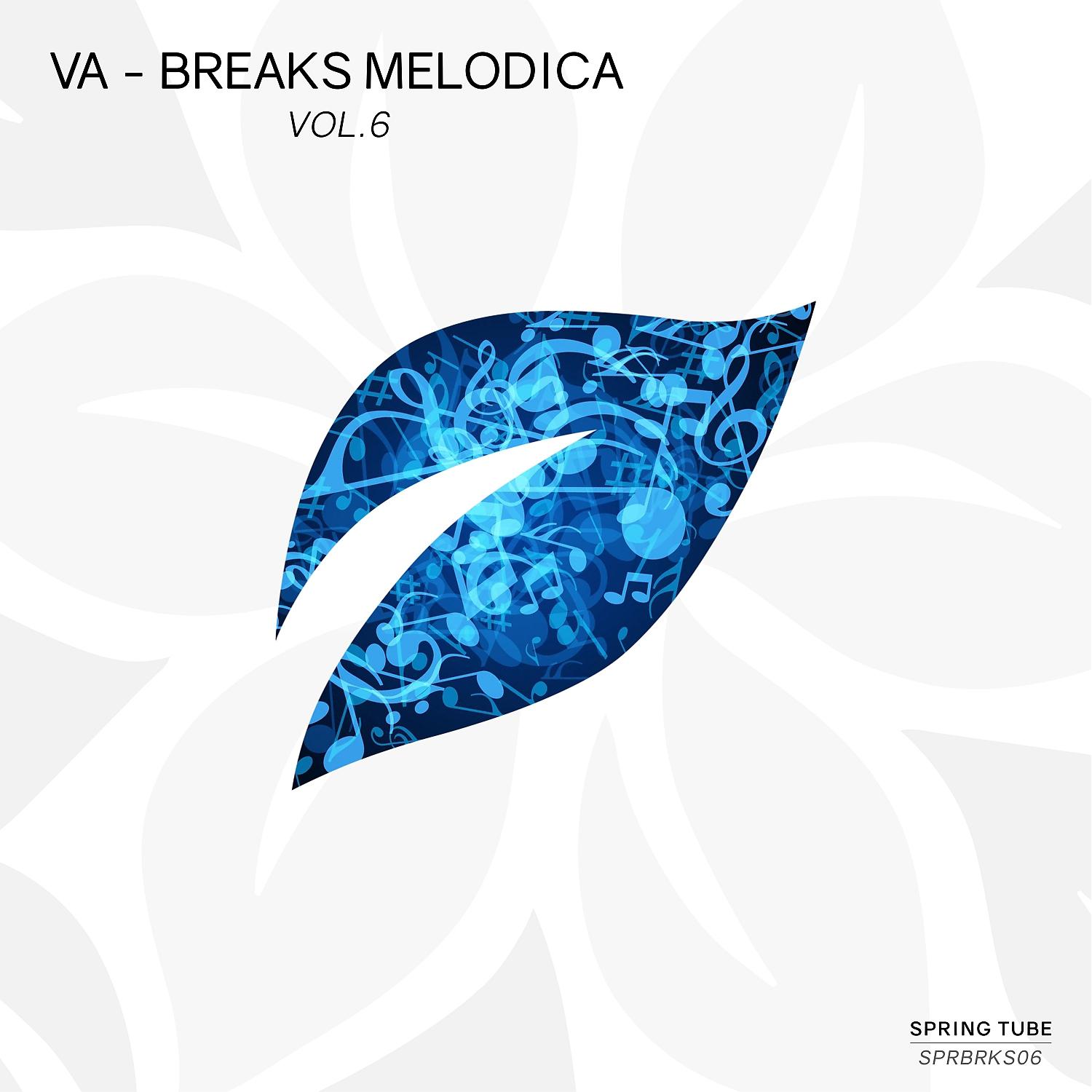 Постер альбома Breaks Melodica, Vol.6
