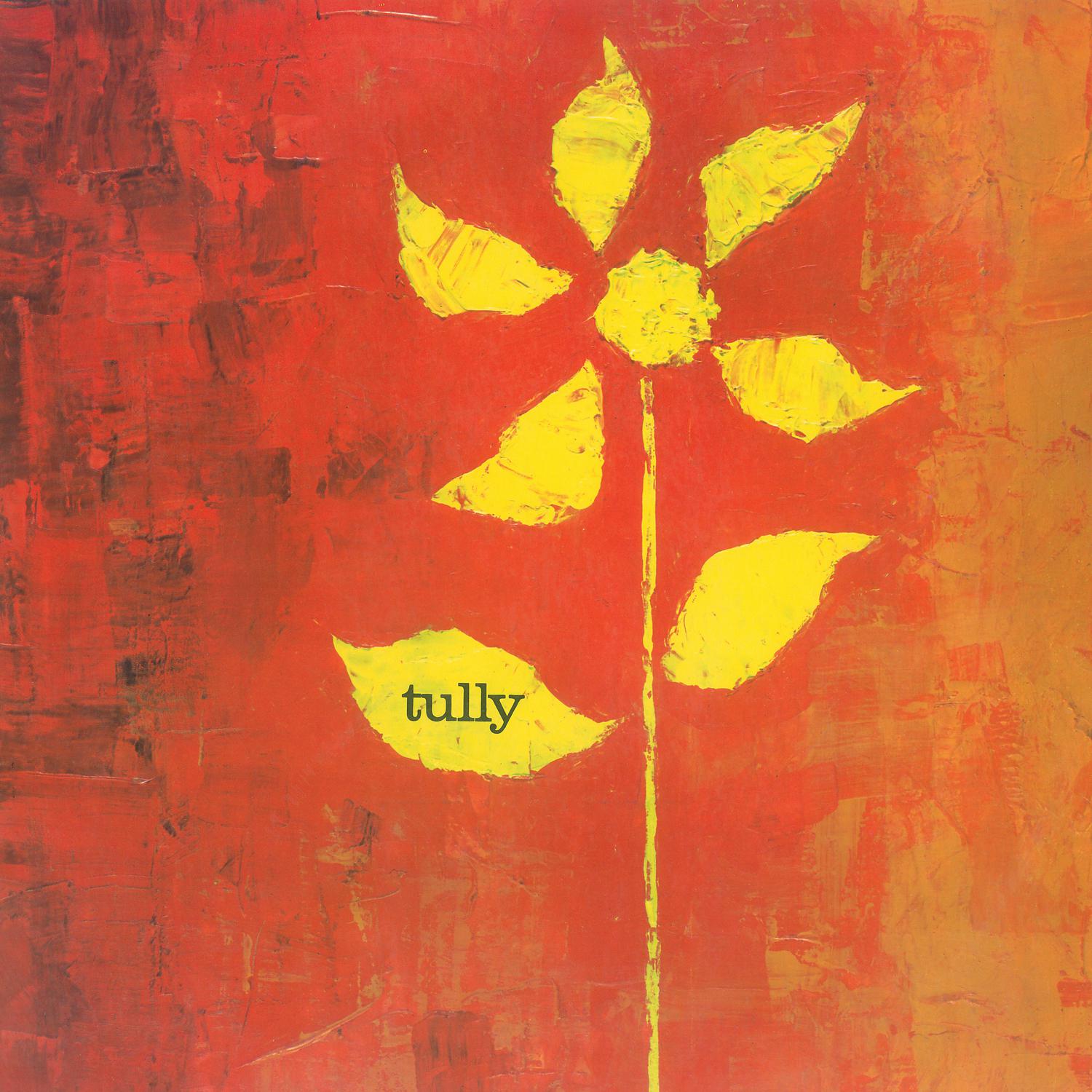 Постер альбома Tully