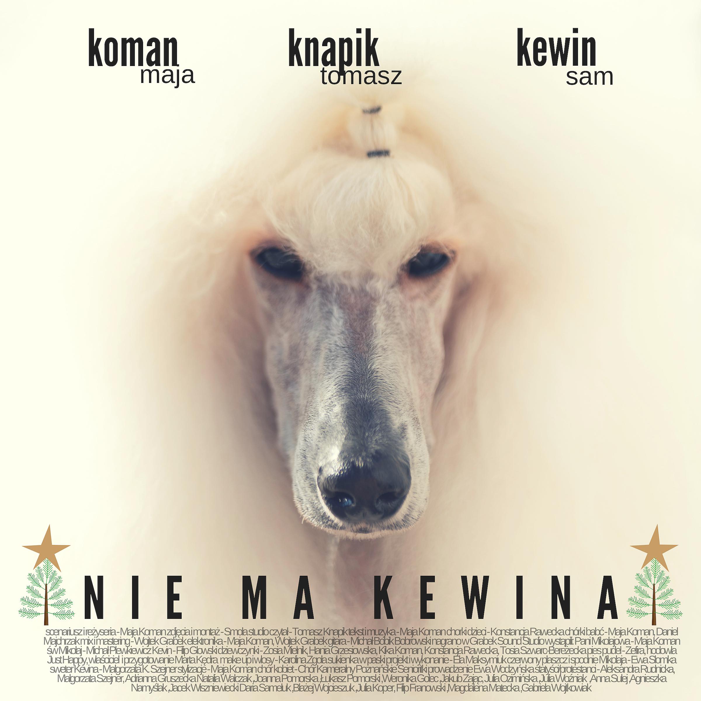Постер альбома Nie ma Kewina
