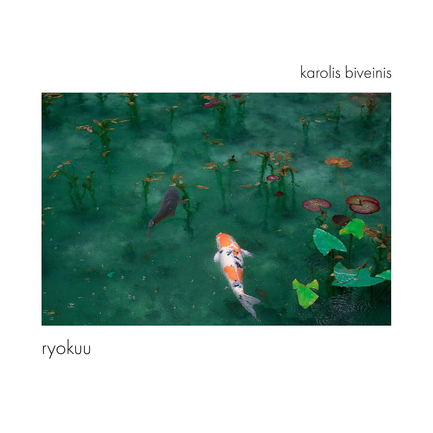 Постер альбома Ryokuu