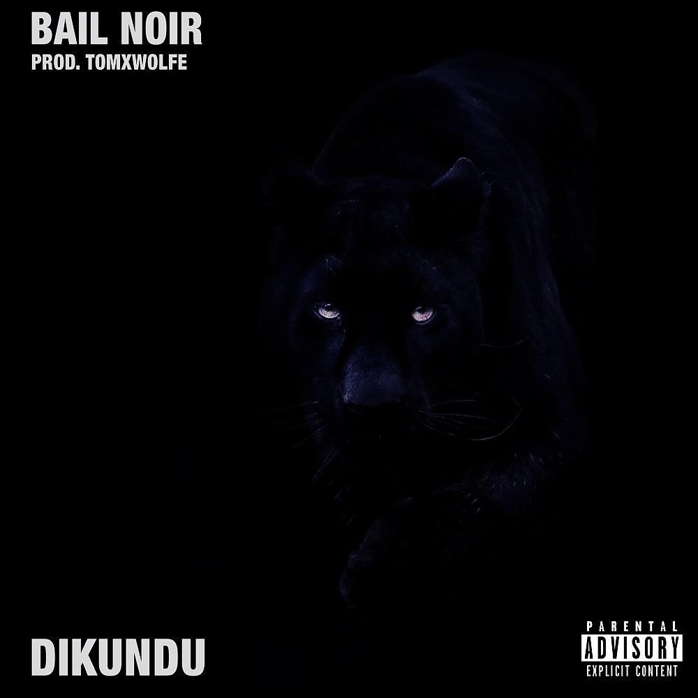 Постер альбома Bail noir
