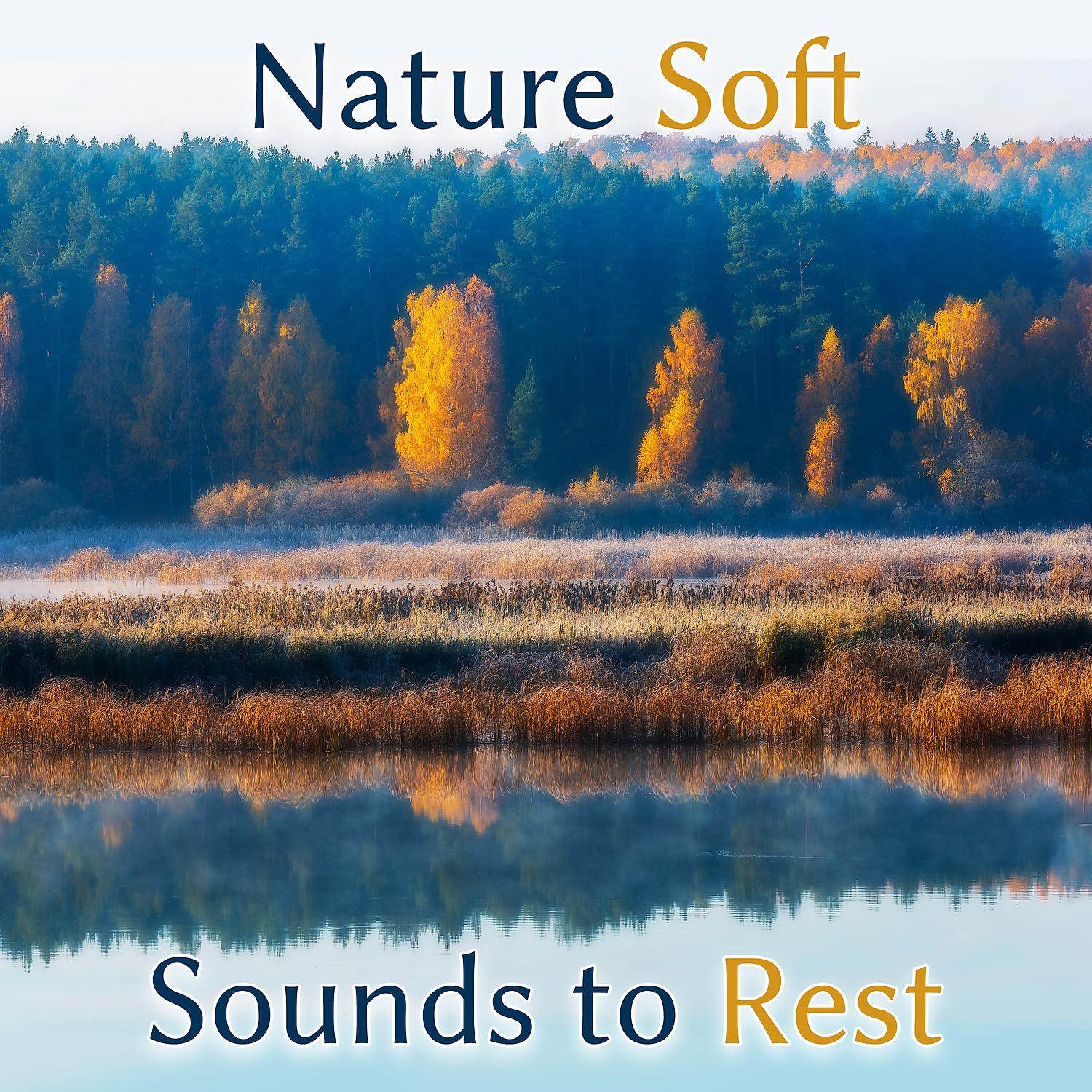 Постер альбома Nature Soft Sounds to Rest – Calming Music, Asian Relaxation, Water Waves, Sounds for Massage
