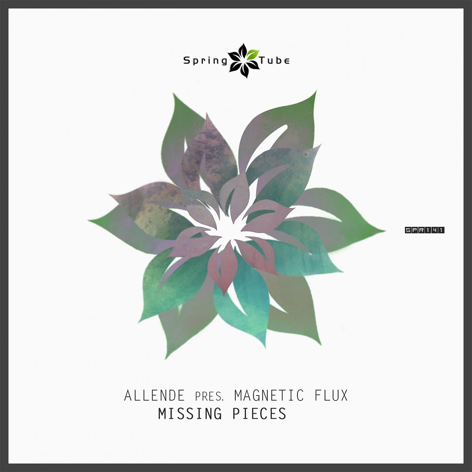 Постер альбома Missing Pieces