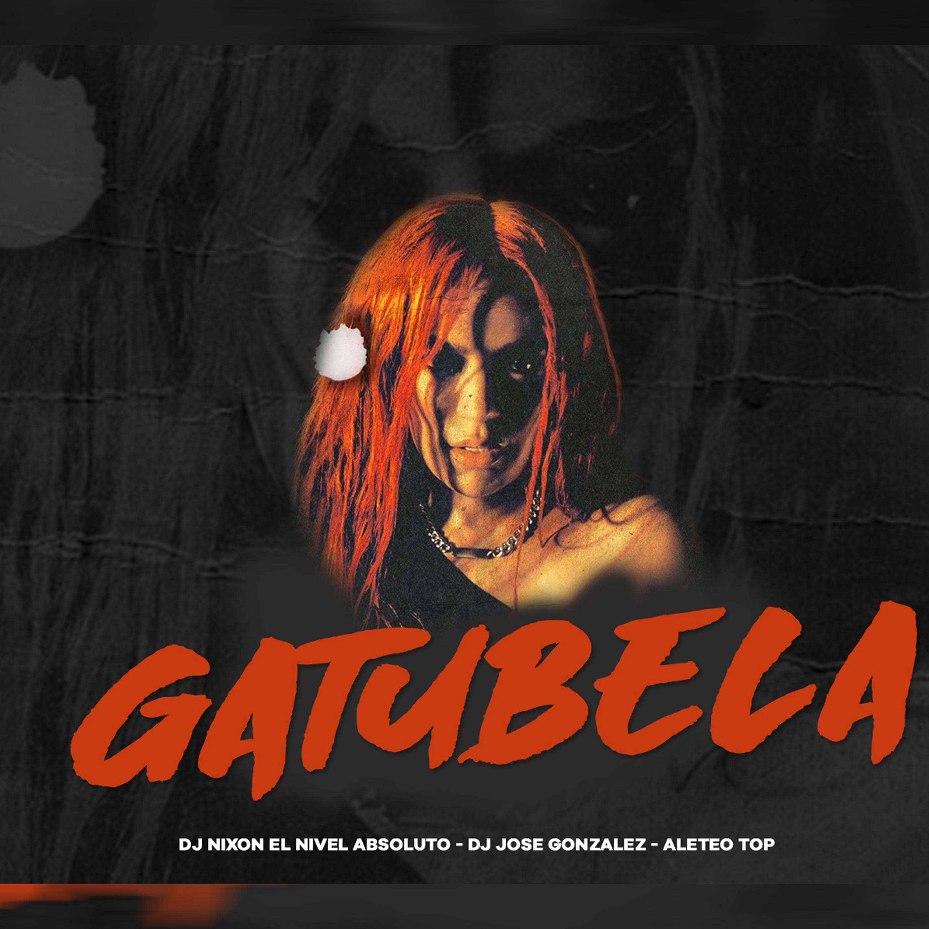 Постер альбома Gatubela