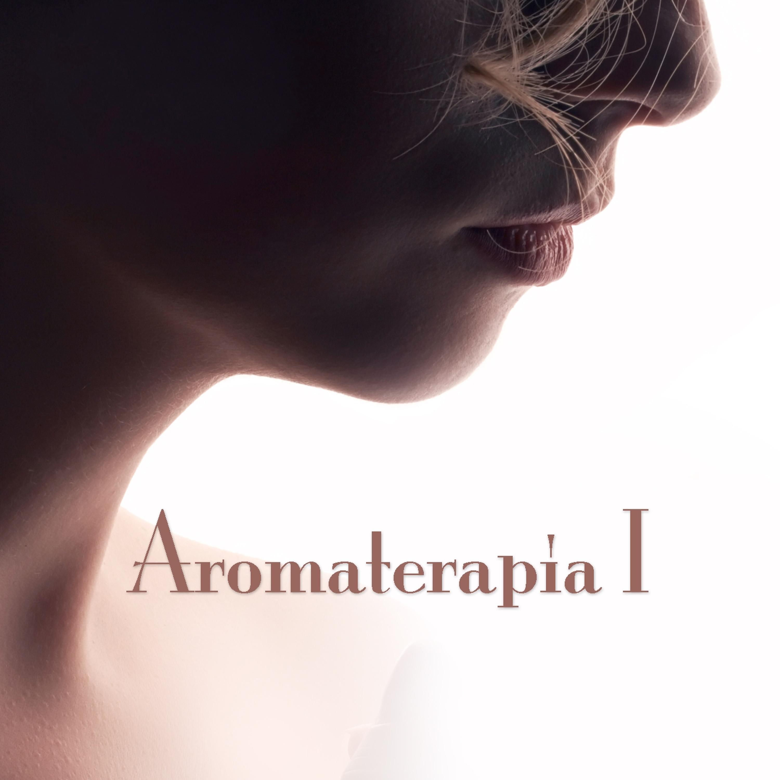 Постер альбома Aromaterapia I