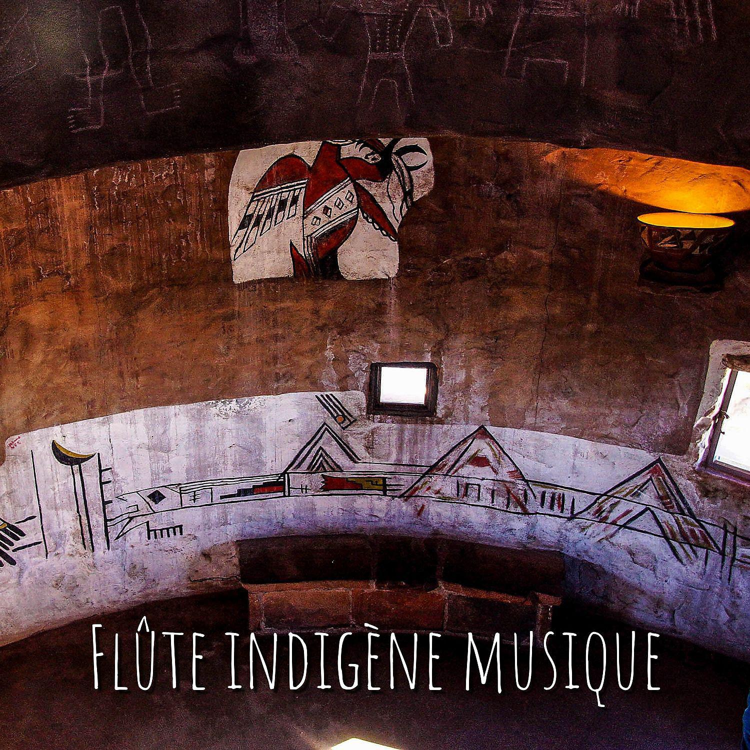Постер альбома Flûte indigène musique