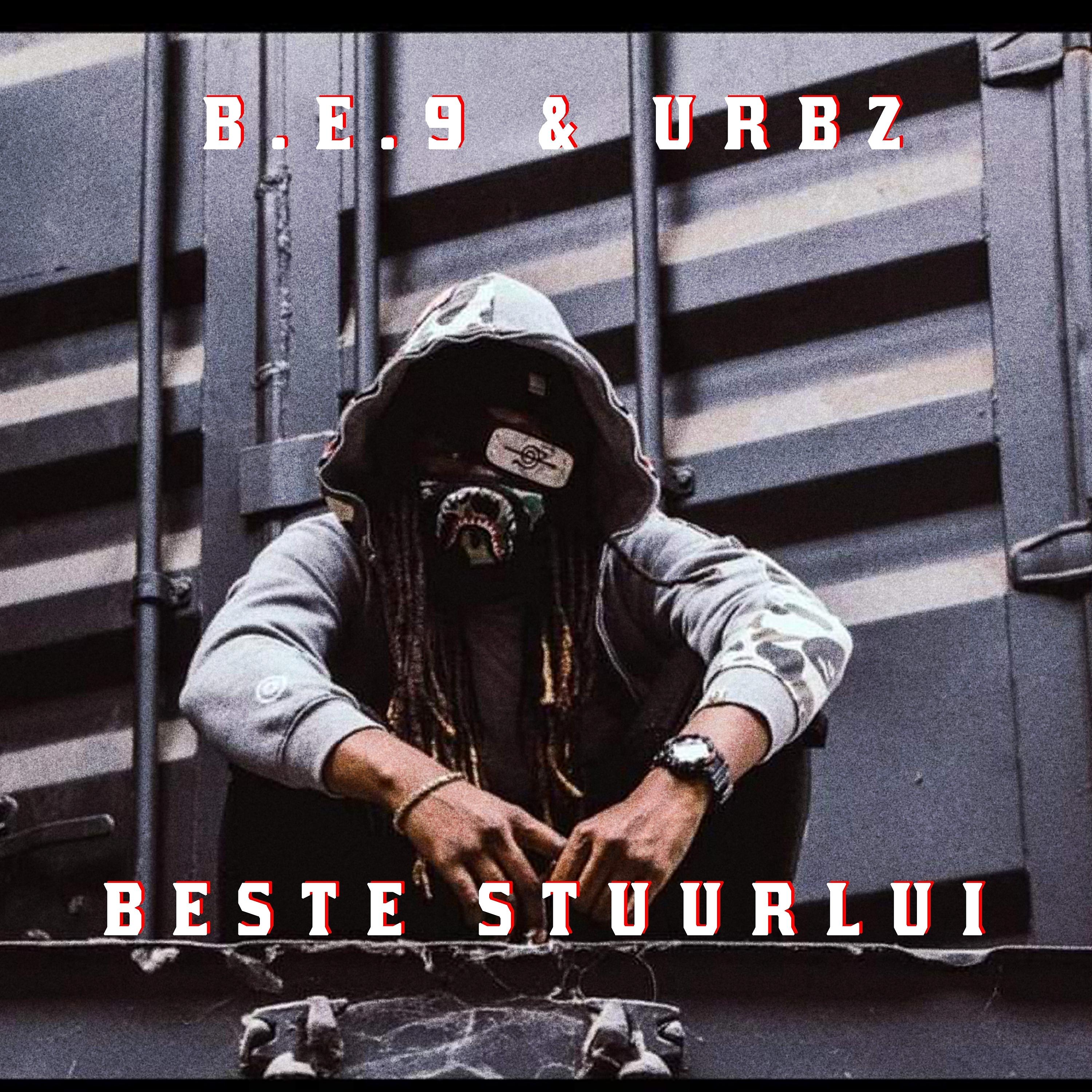 Постер альбома Beste Stuurlui