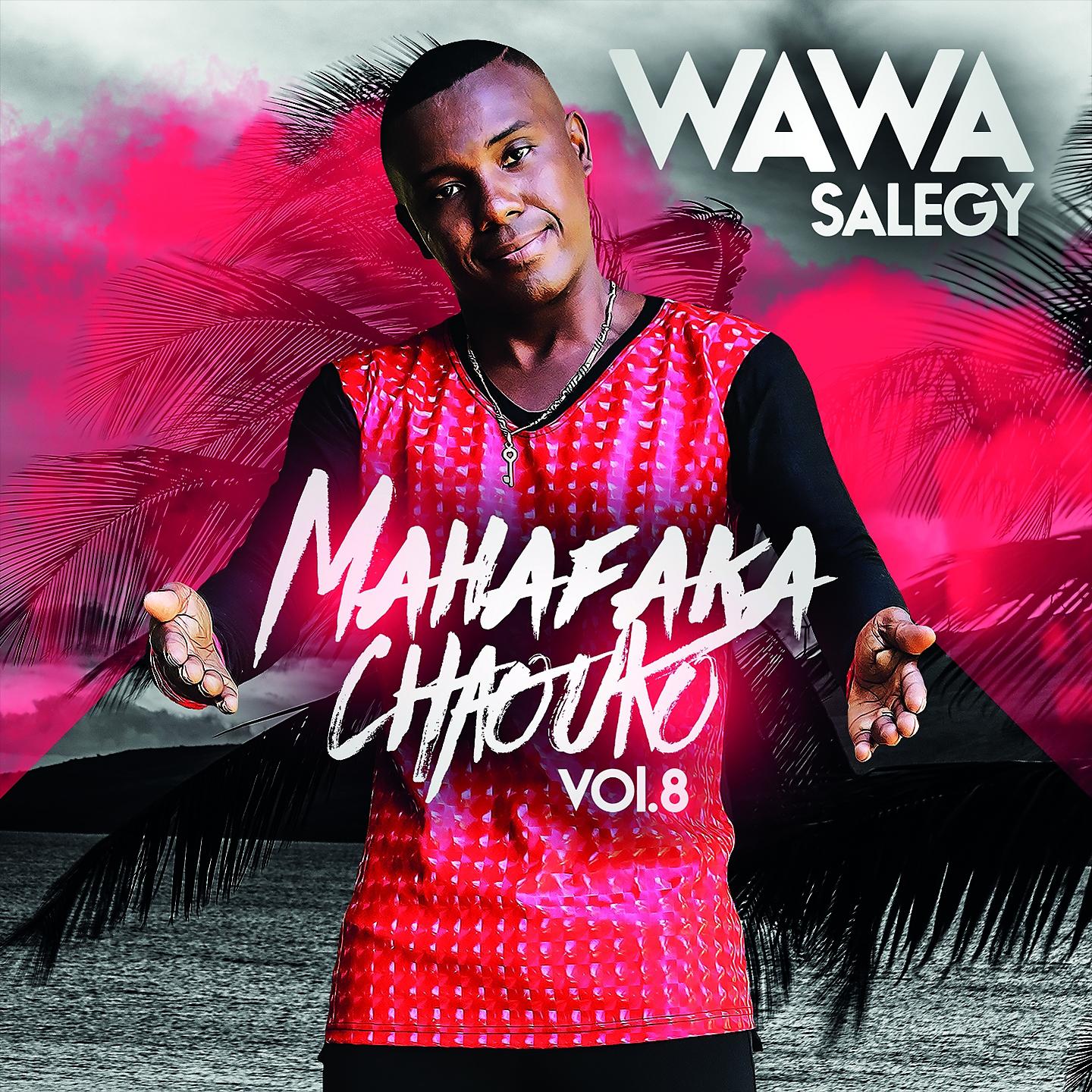 Постер альбома Mahafaka Chaouko, Vol. 8