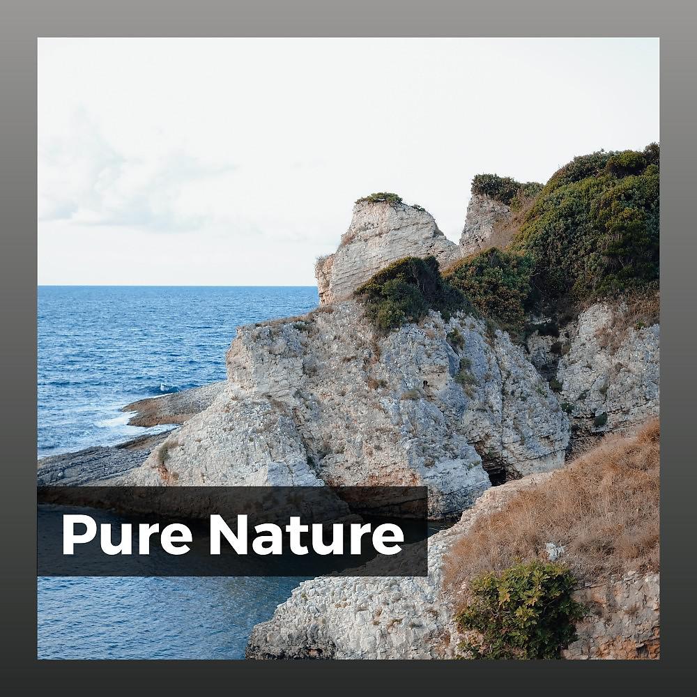 Постер альбома Pure Nature