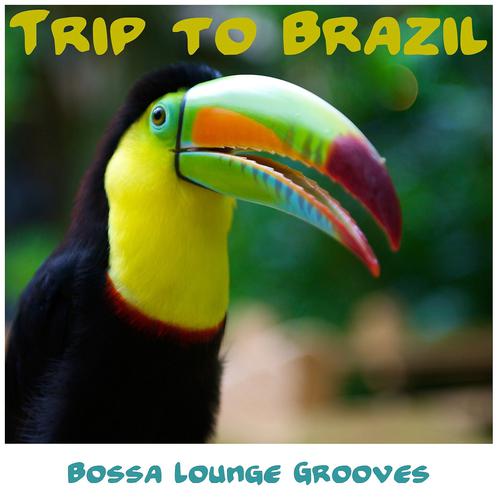 Постер альбома Trip to Brazil