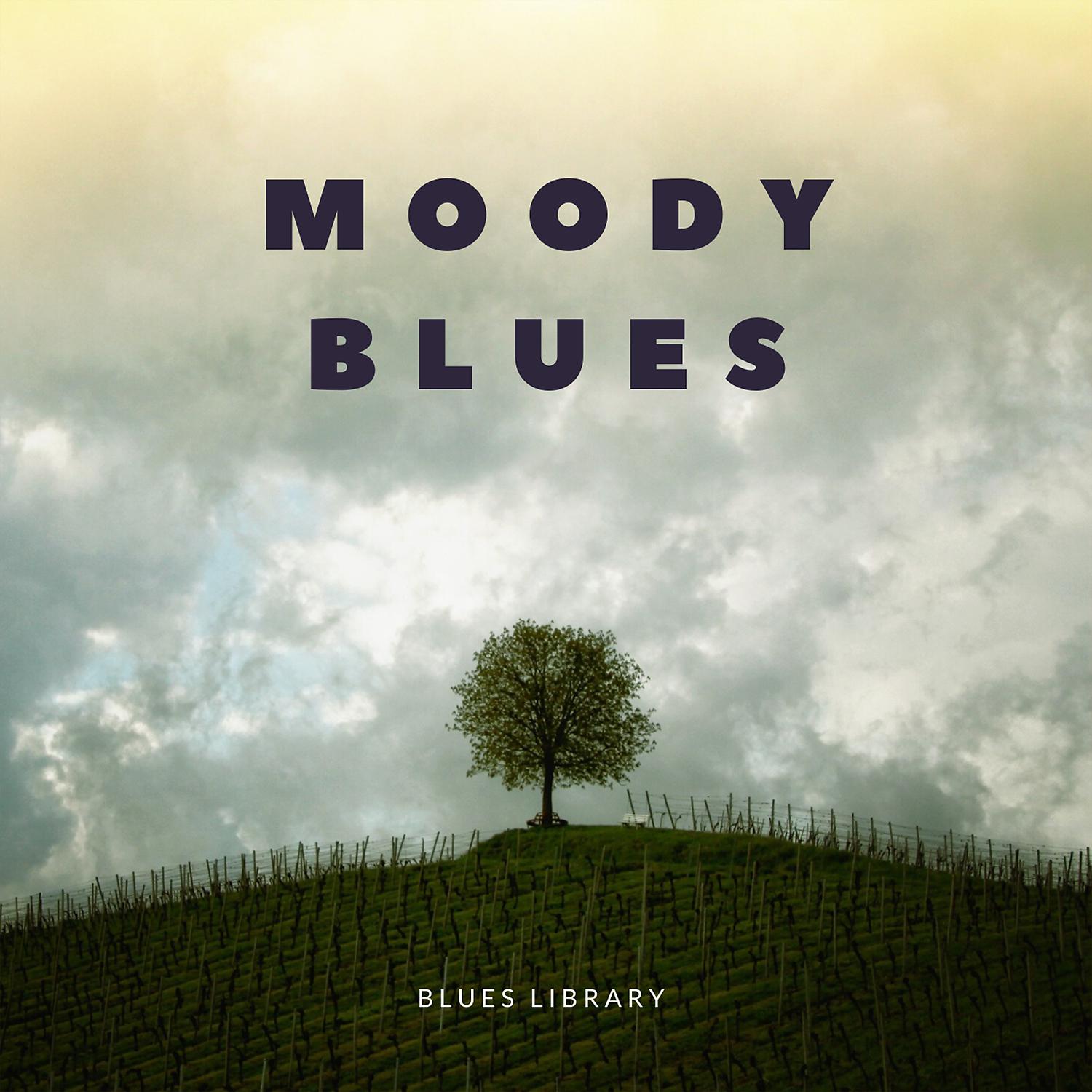 Постер альбома Moody Blues