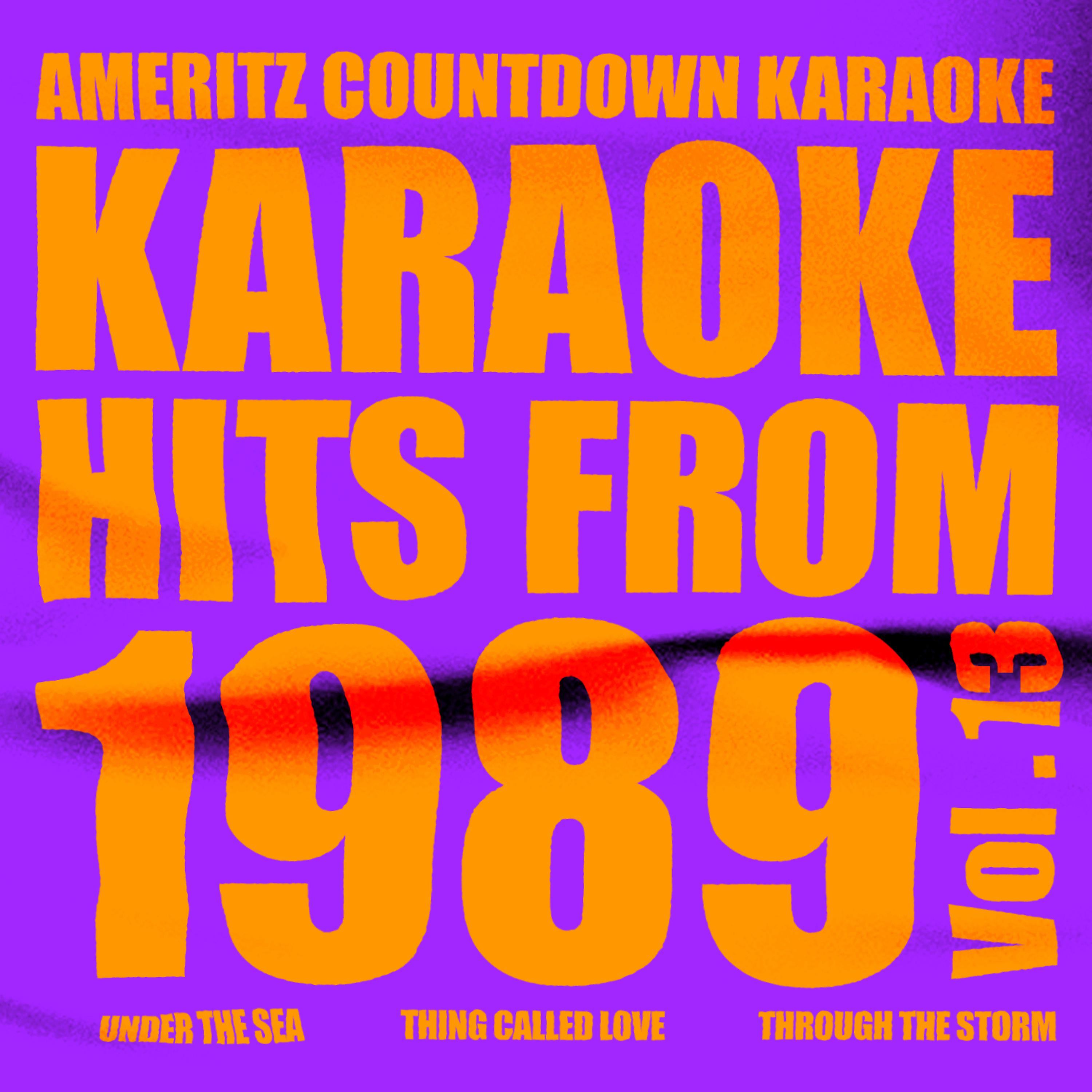 Постер альбома Karaoke Hits from 1989, Vol. 13