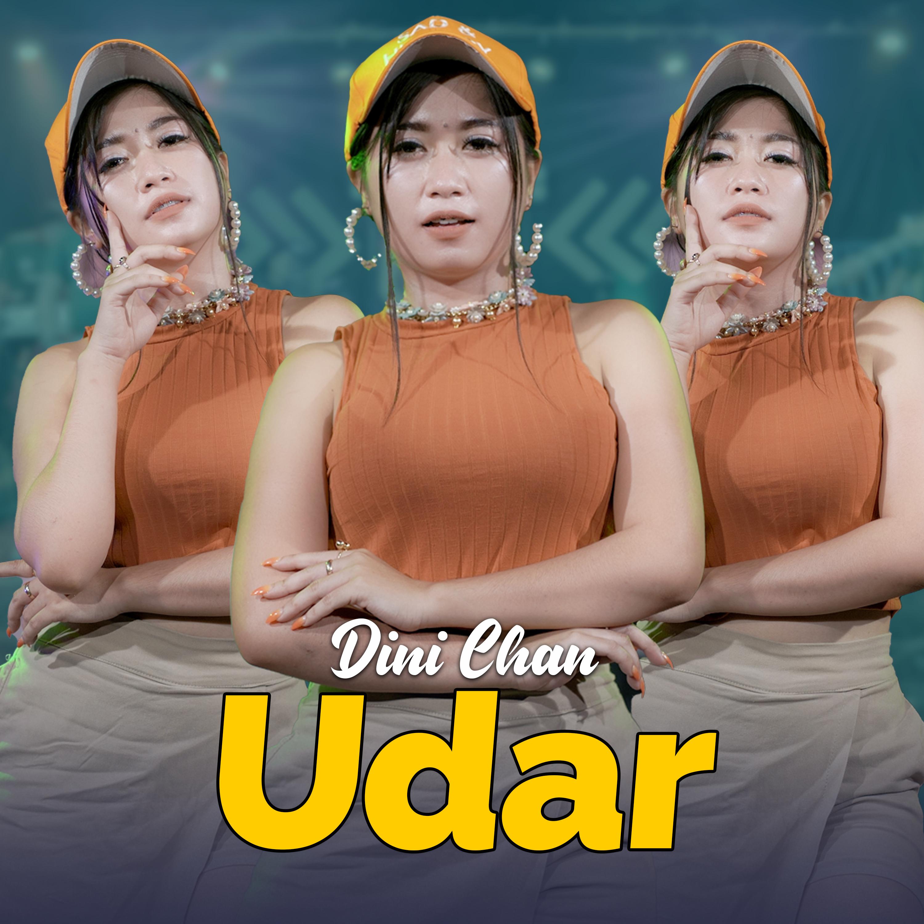 Постер альбома Udar