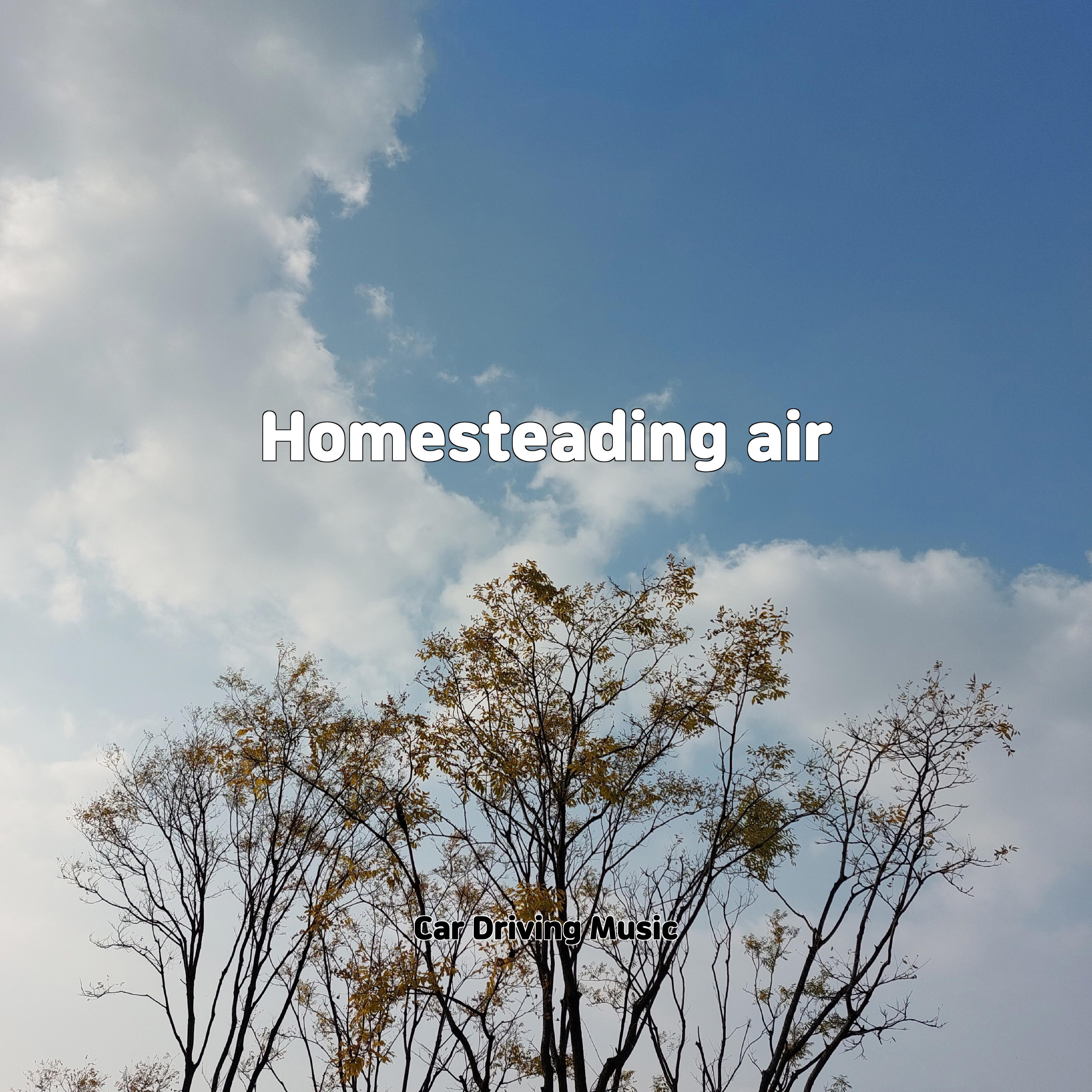 Постер альбома Homesteading air