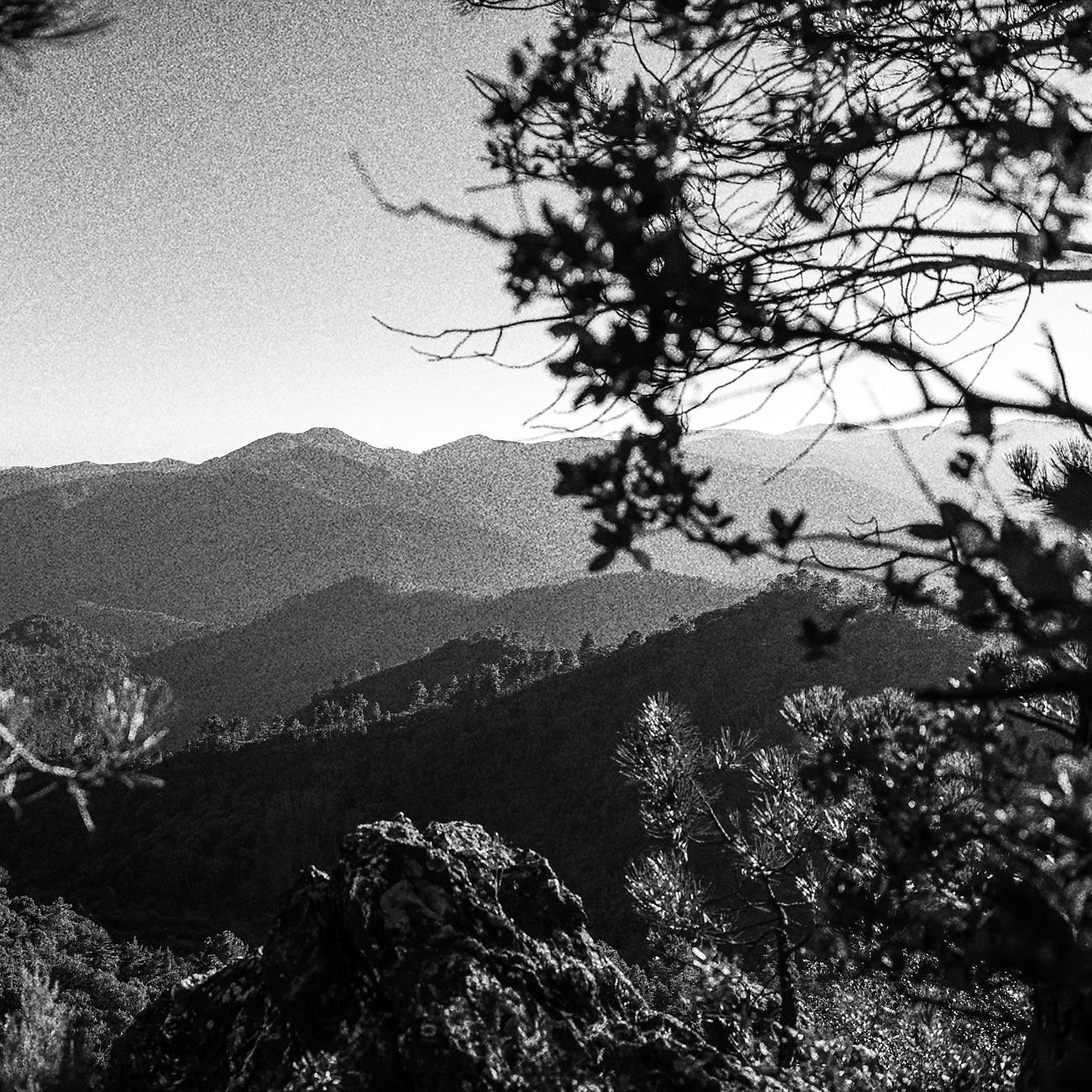 Постер альбома Cévennes National Park