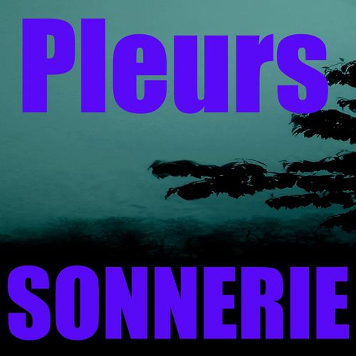 Постер альбома Sonnerie pleurs