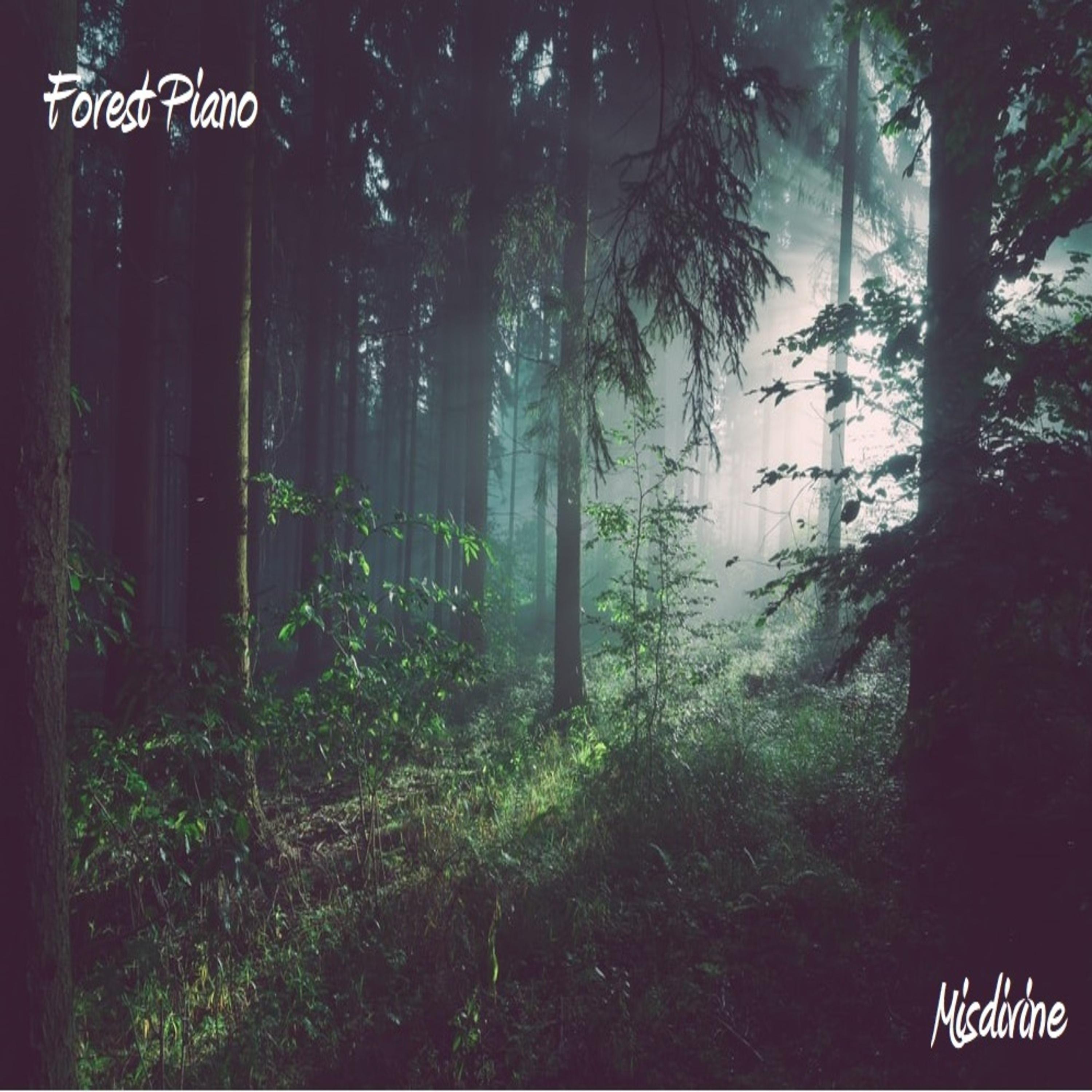 Постер альбома Forest Piano