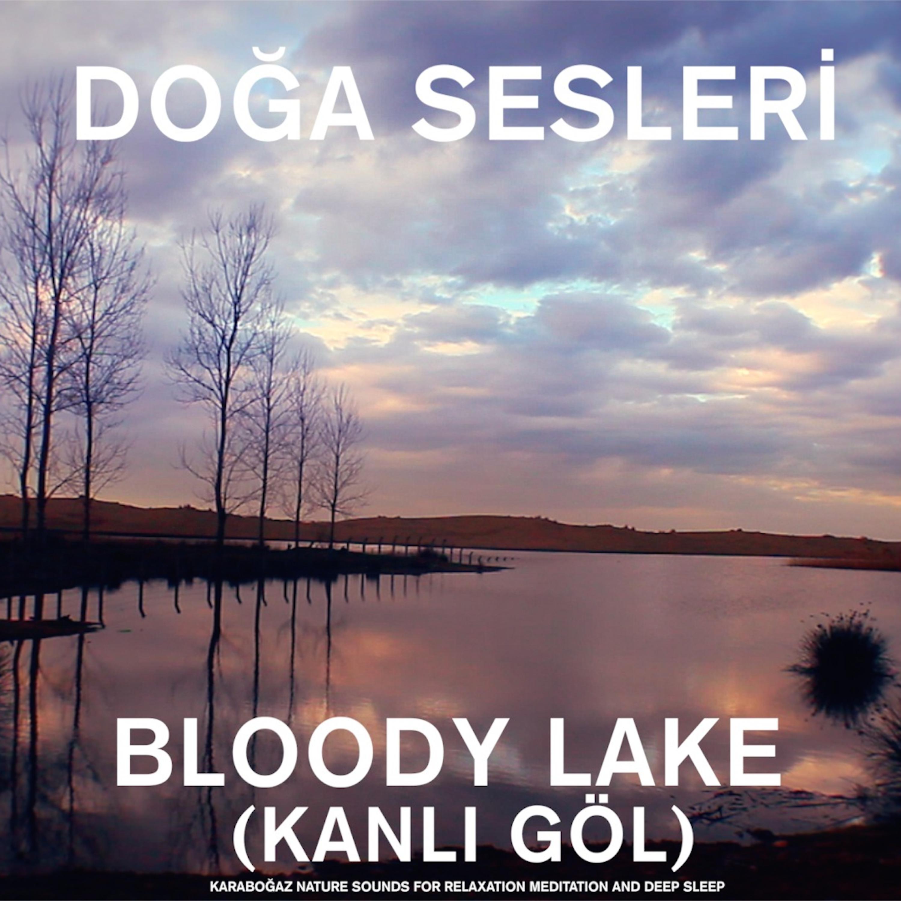 Постер альбома Bloody Lake (Kanlı Göl) Karaboğaz - Nature Sounds for Relaxation , Meditation and Deep Sleep